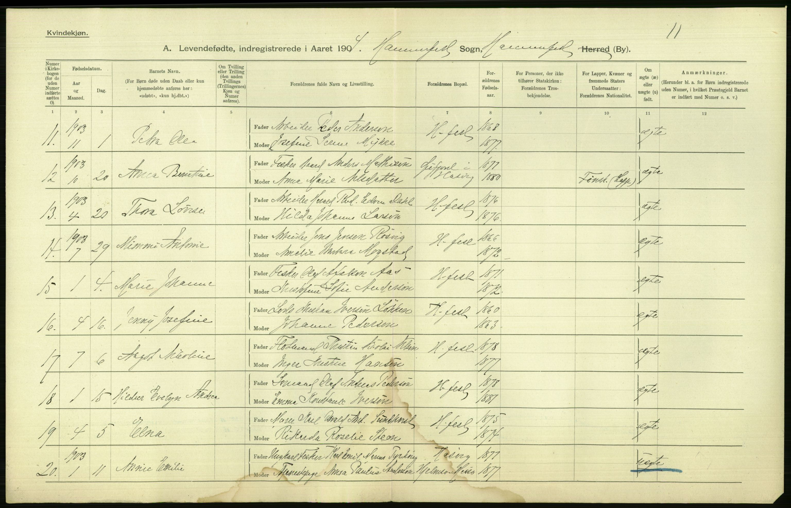 Statistisk sentralbyrå, Sosiodemografiske emner, Befolkning, AV/RA-S-2228/D/Df/Dfa/Dfab/L0023: Finnmarkens amt: Fødte, gifte, døde, 1904, s. 132