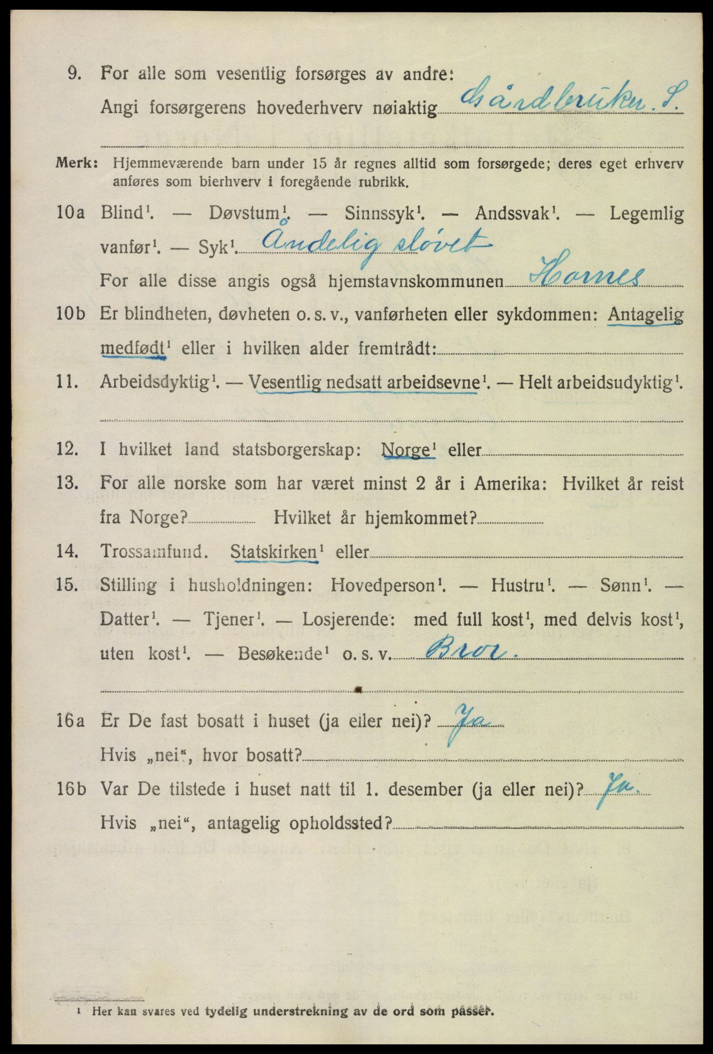 SAK, Folketelling 1920 for 0936 Hornnes herred, 1920, s. 3024