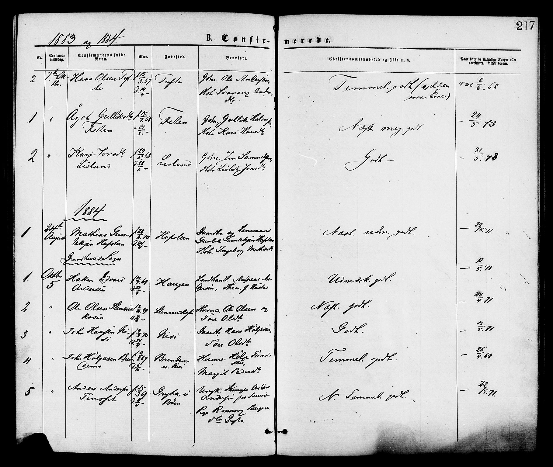 Gransherad kirkebøker, AV/SAKO-A-267/F/Fa/L0004: Ministerialbok nr. I 4, 1871-1886, s. 217