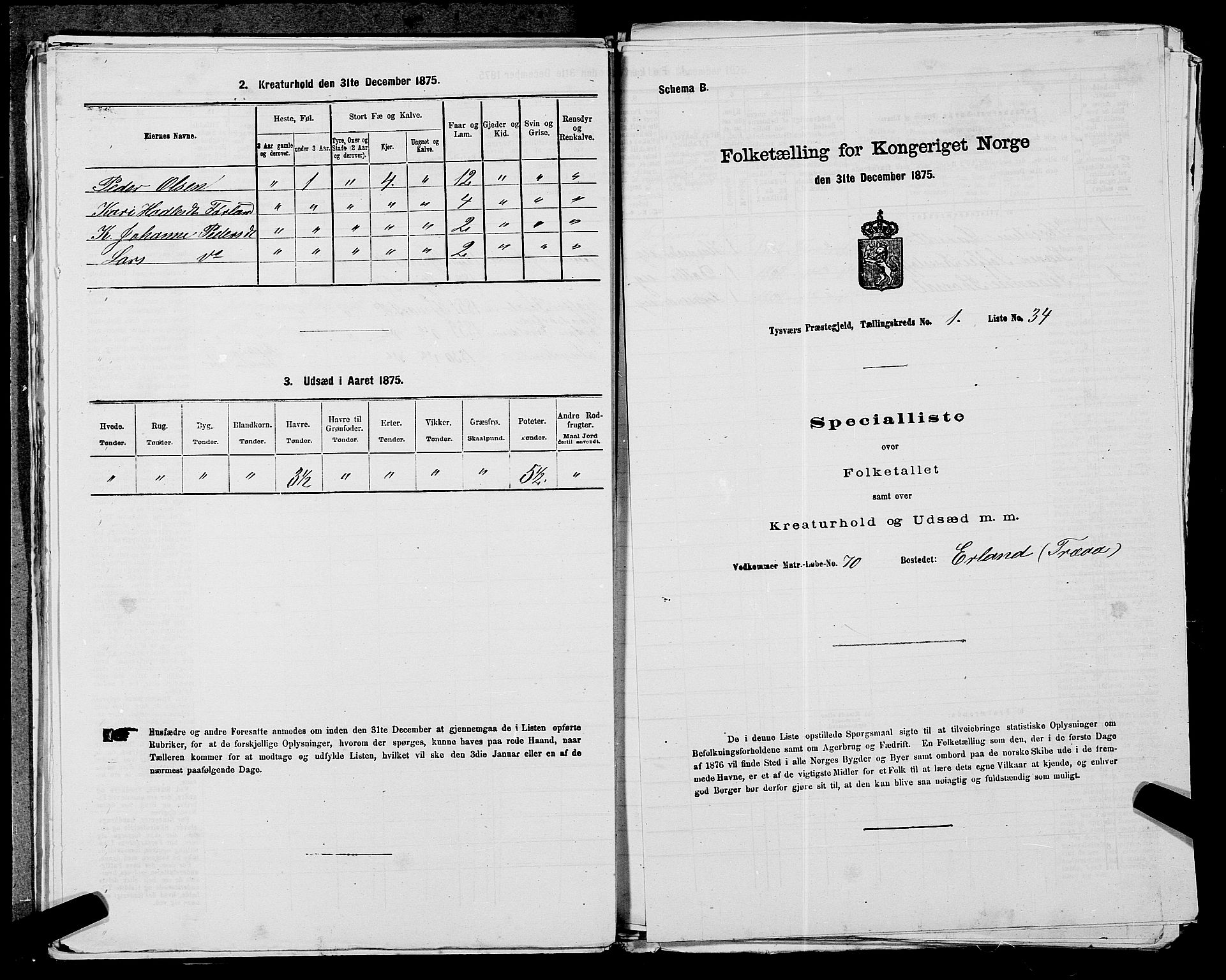 SAST, Folketelling 1875 for 1146P Tysvær prestegjeld, 1875, s. 123