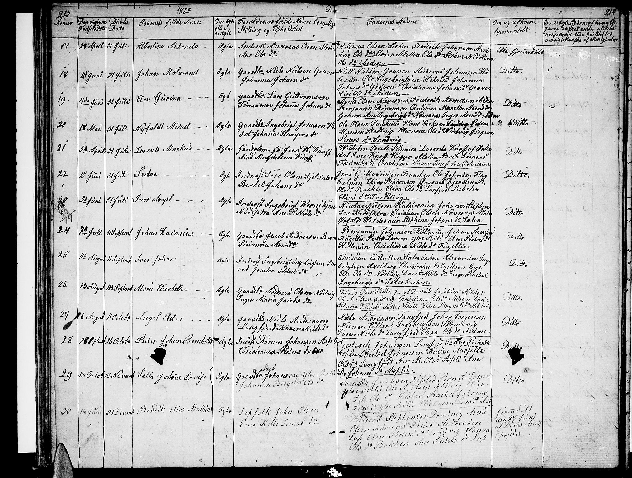 Ministerialprotokoller, klokkerbøker og fødselsregistre - Nordland, AV/SAT-A-1459/814/L0228: Klokkerbok nr. 814C01, 1838-1858, s. 213-214