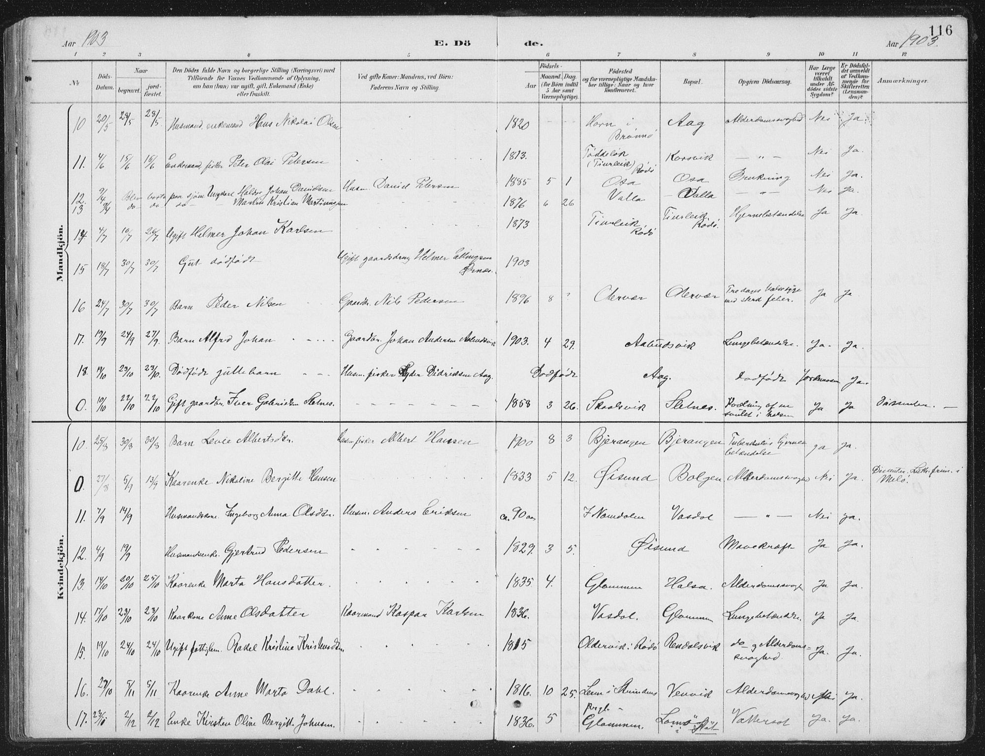 Ministerialprotokoller, klokkerbøker og fødselsregistre - Nordland, AV/SAT-A-1459/843/L0638: Klokkerbok nr. 843C07, 1888-1907, s. 116