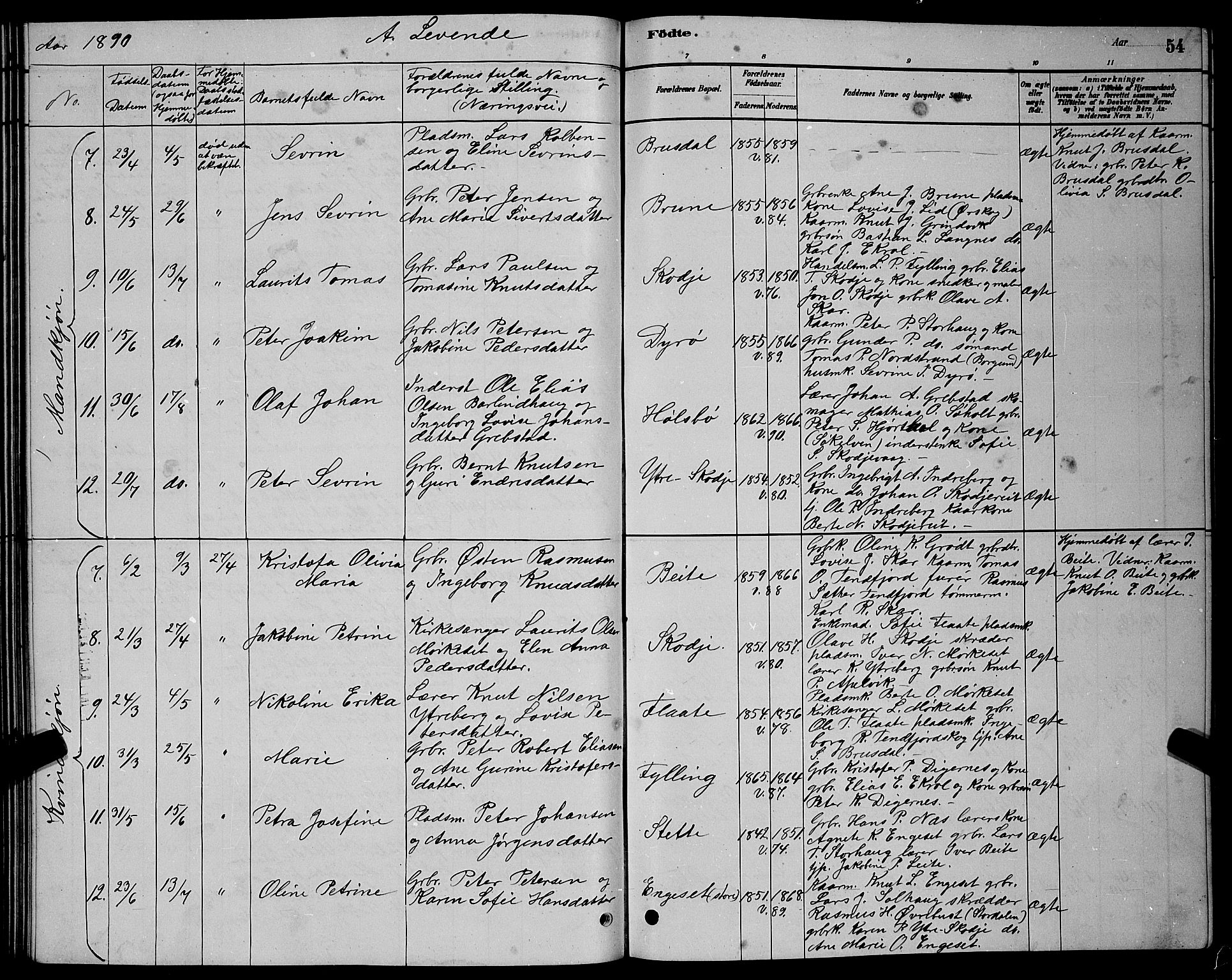 Ministerialprotokoller, klokkerbøker og fødselsregistre - Møre og Romsdal, AV/SAT-A-1454/524/L0365: Klokkerbok nr. 524C06, 1880-1899, s. 54