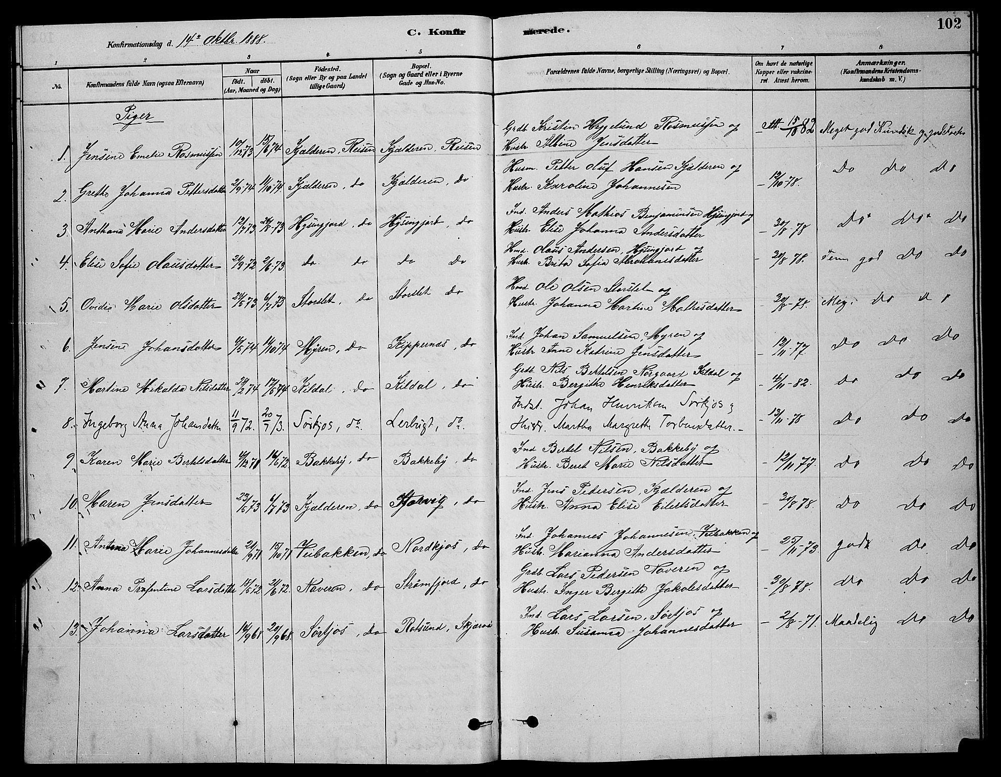 Skjervøy sokneprestkontor, AV/SATØ-S-1300/H/Ha/Hab/L0020klokker: Klokkerbok nr. 20, 1878-1892, s. 102