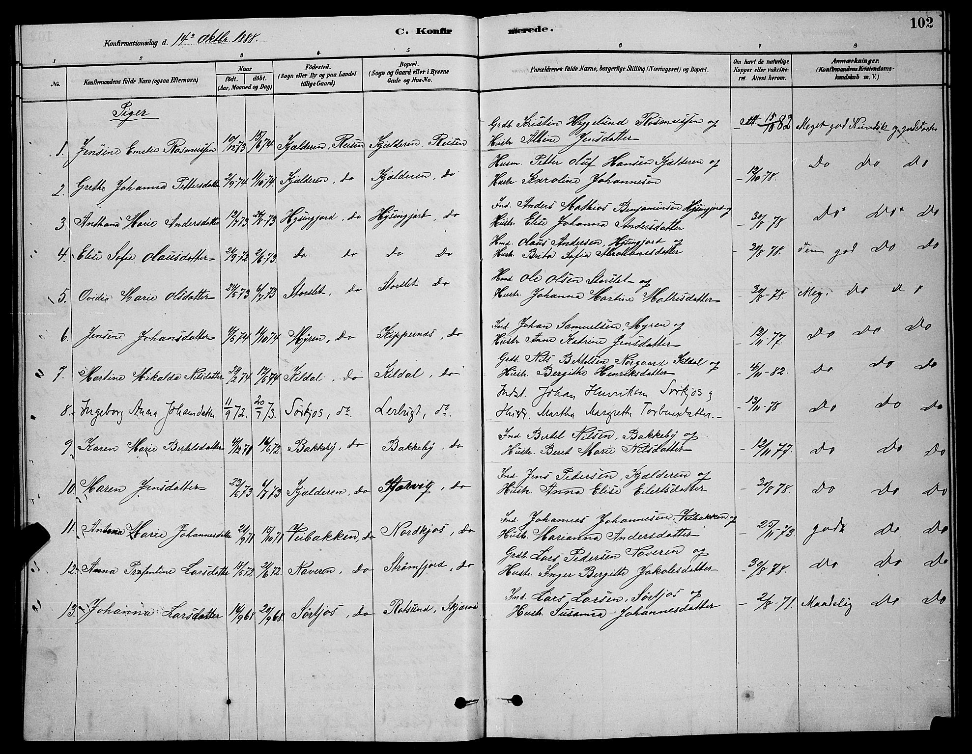 Skjervøy sokneprestkontor, AV/SATØ-S-1300/H/Ha/Hab/L0020klokker: Klokkerbok nr. 20, 1878-1892, s. 102