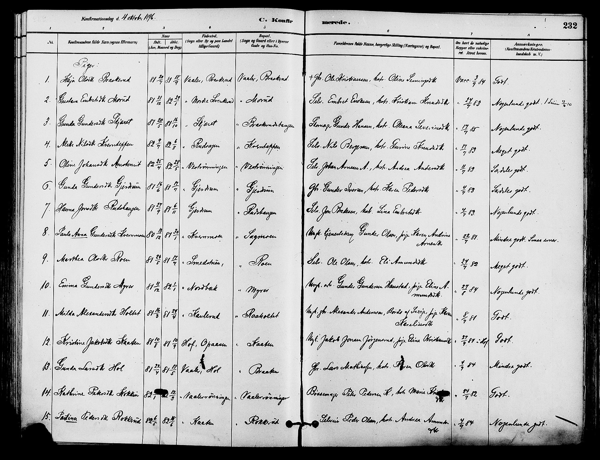Våler prestekontor, Hedmark, AV/SAH-PREST-040/H/Ha/Haa/L0002: Ministerialbok nr. 3, 1879-1911, s. 232