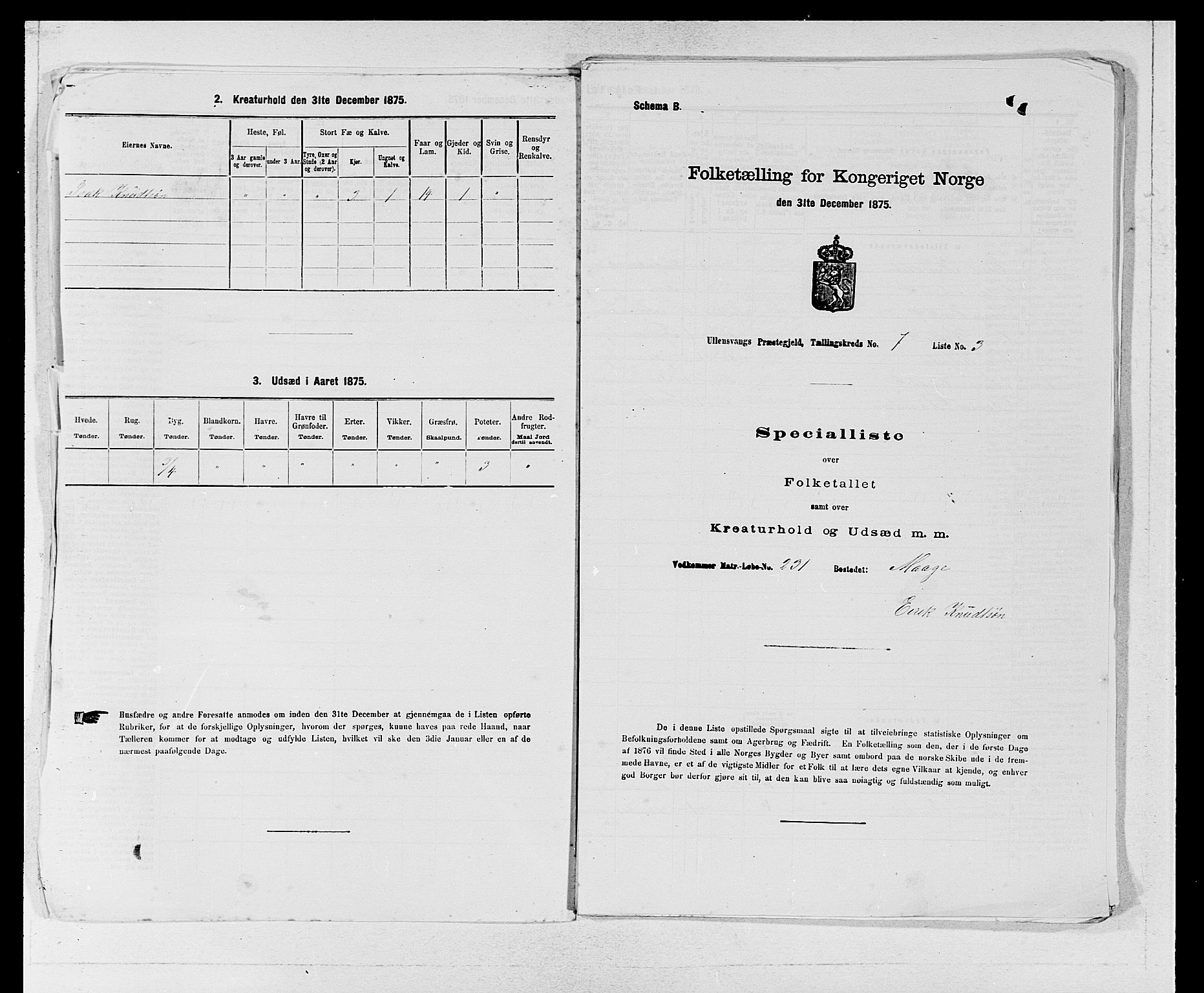 SAB, Folketelling 1875 for 1230P Ullensvang prestegjeld, 1875, s. 585