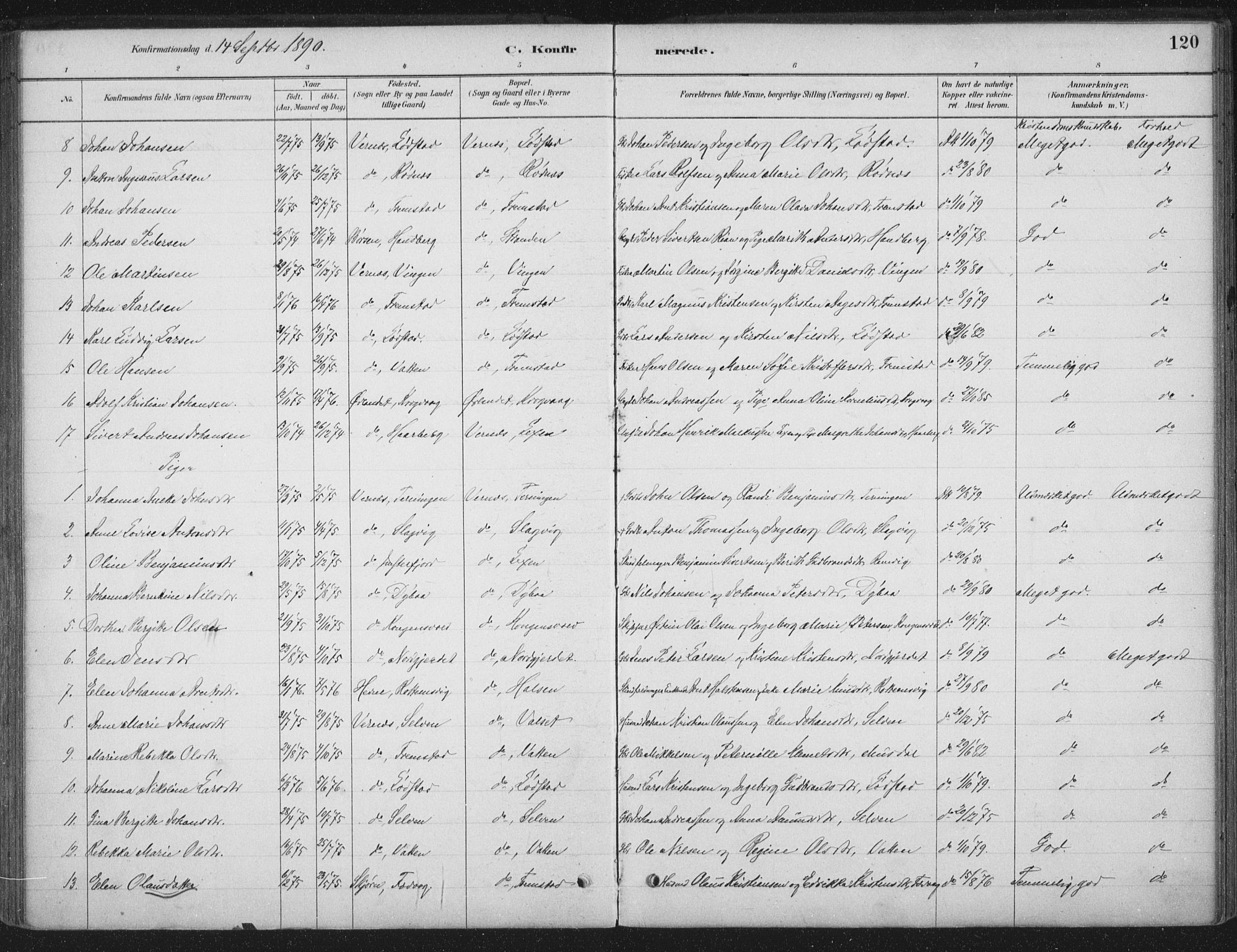 Ministerialprotokoller, klokkerbøker og fødselsregistre - Sør-Trøndelag, AV/SAT-A-1456/662/L0755: Ministerialbok nr. 662A01, 1879-1905, s. 120