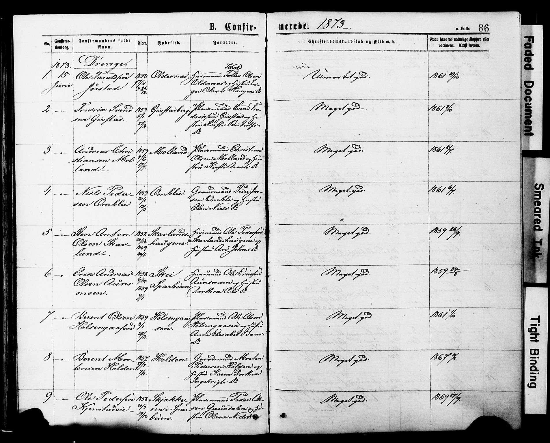 Ministerialprotokoller, klokkerbøker og fødselsregistre - Nord-Trøndelag, AV/SAT-A-1458/749/L0473: Ministerialbok nr. 749A07, 1873-1887, s. 86