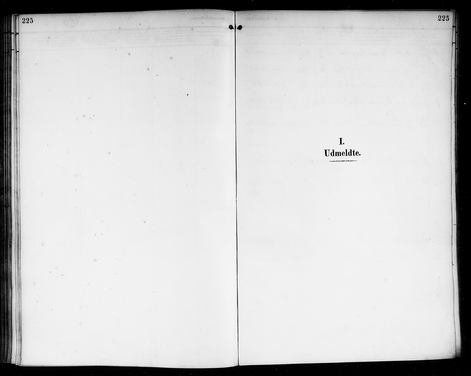 Nedre Eiker kirkebøker, SAKO/A-612/F/Fa/L0004: Ministerialbok nr. 4, 1893-1898, s. 225