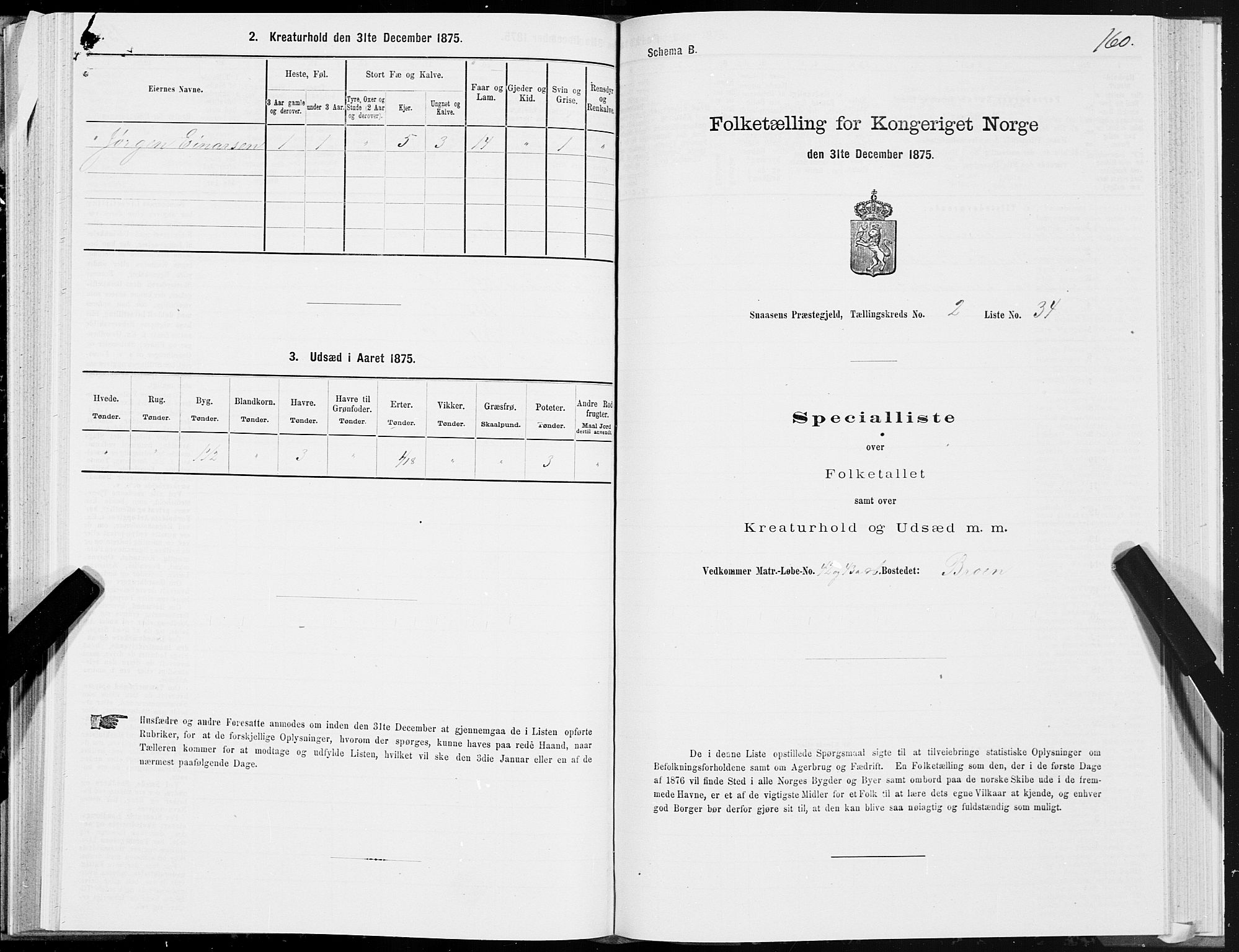 SAT, Folketelling 1875 for 1736P Snåsa prestegjeld, 1875, s. 1160