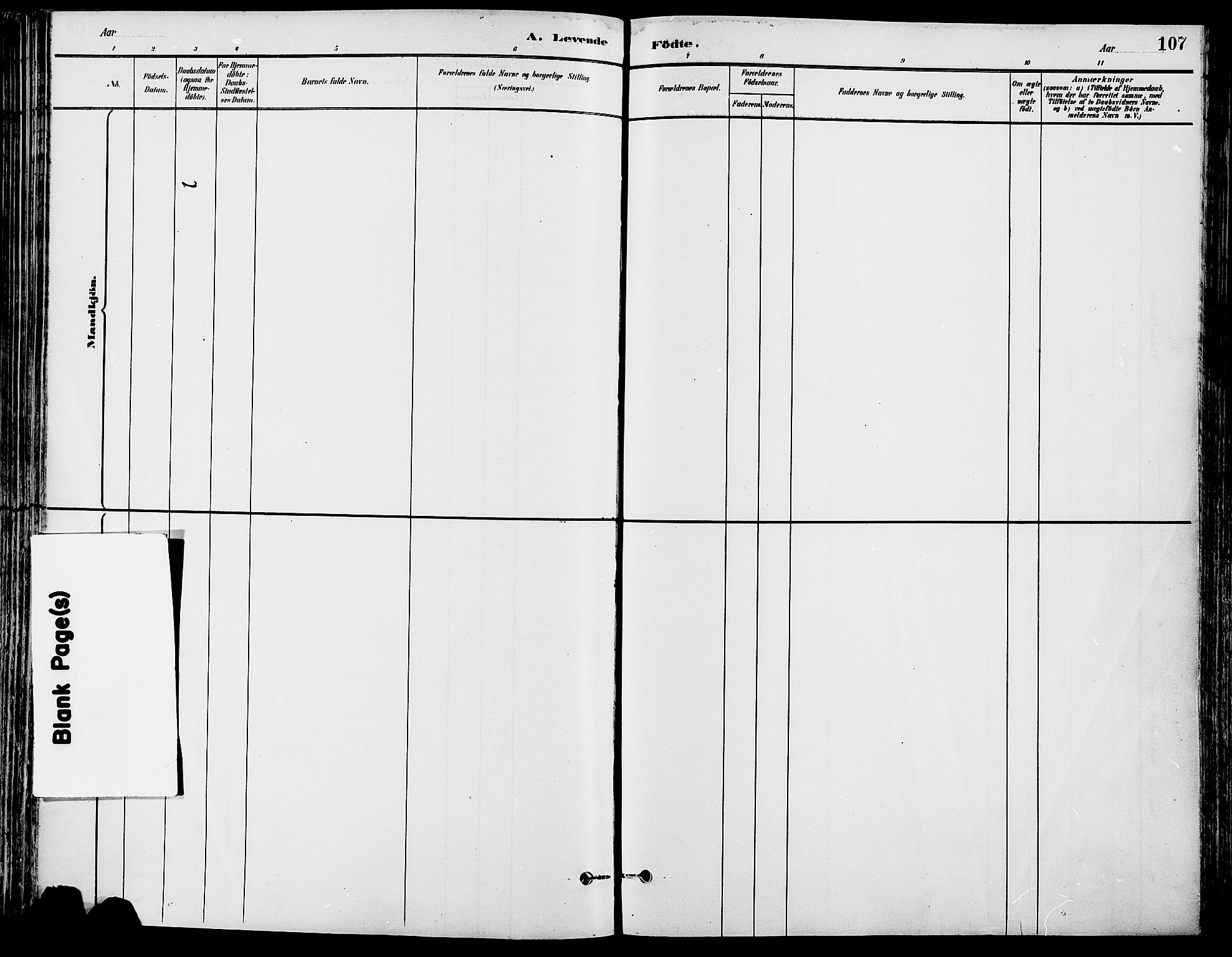 Stor-Elvdal prestekontor, SAH/PREST-052/H/Ha/Haa/L0002: Ministerialbok nr. 2, 1882-1907, s. 107
