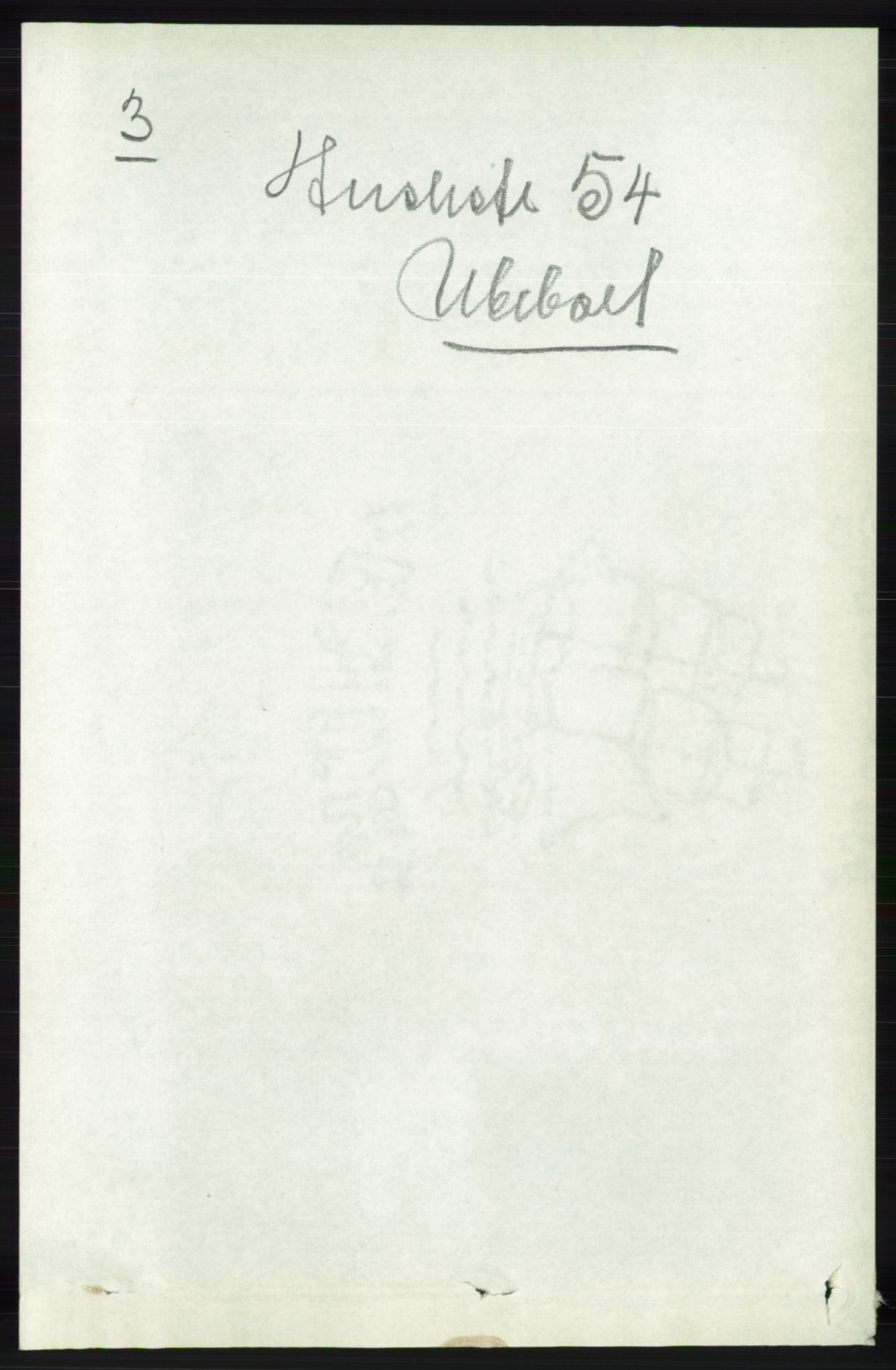 RA, Folketelling 1891 for 1026 Åseral herred, 1891, s. 1117