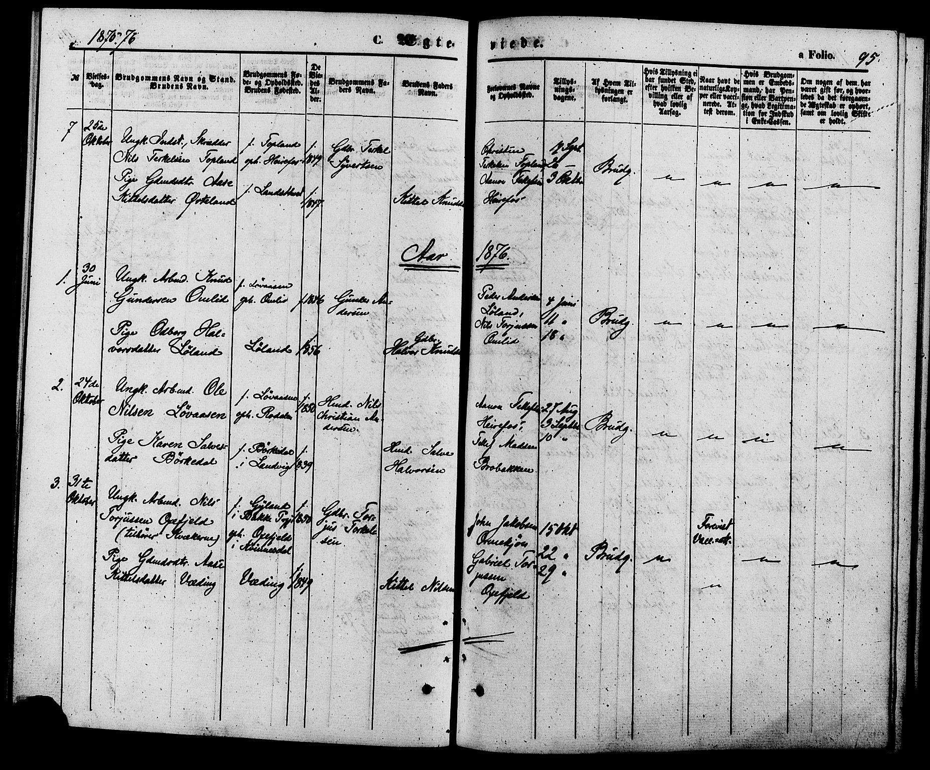 Herefoss sokneprestkontor, AV/SAK-1111-0019/F/Fa/Faa/L0002: Ministerialbok nr. A 2, 1861-1886, s. 95