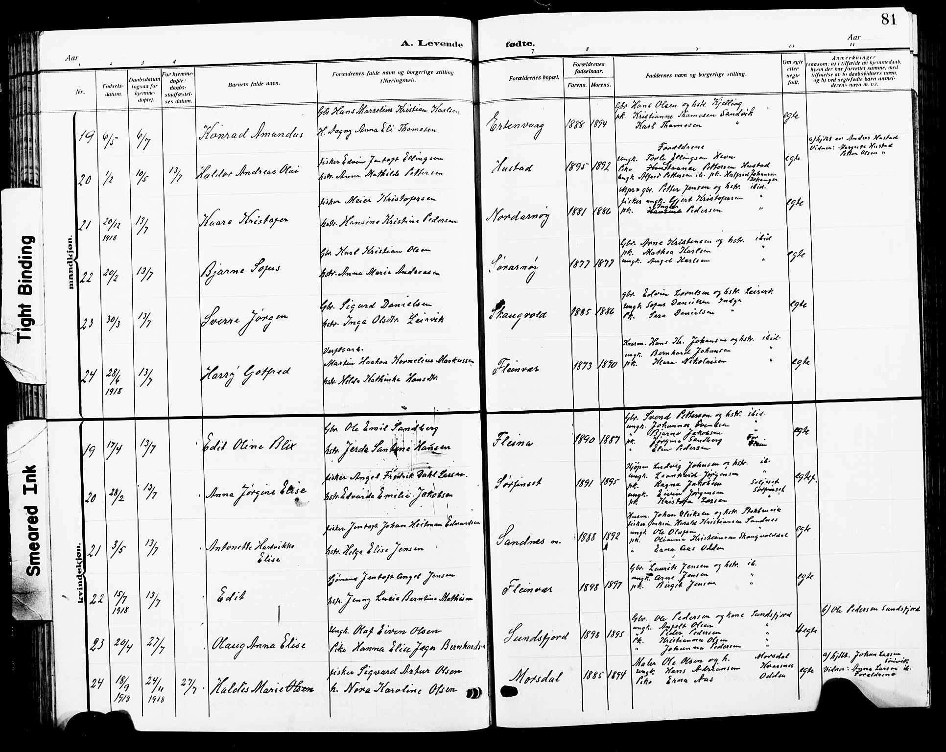 Ministerialprotokoller, klokkerbøker og fødselsregistre - Nordland, AV/SAT-A-1459/805/L0110: Klokkerbok nr. 805C06, 1909-1924, s. 81