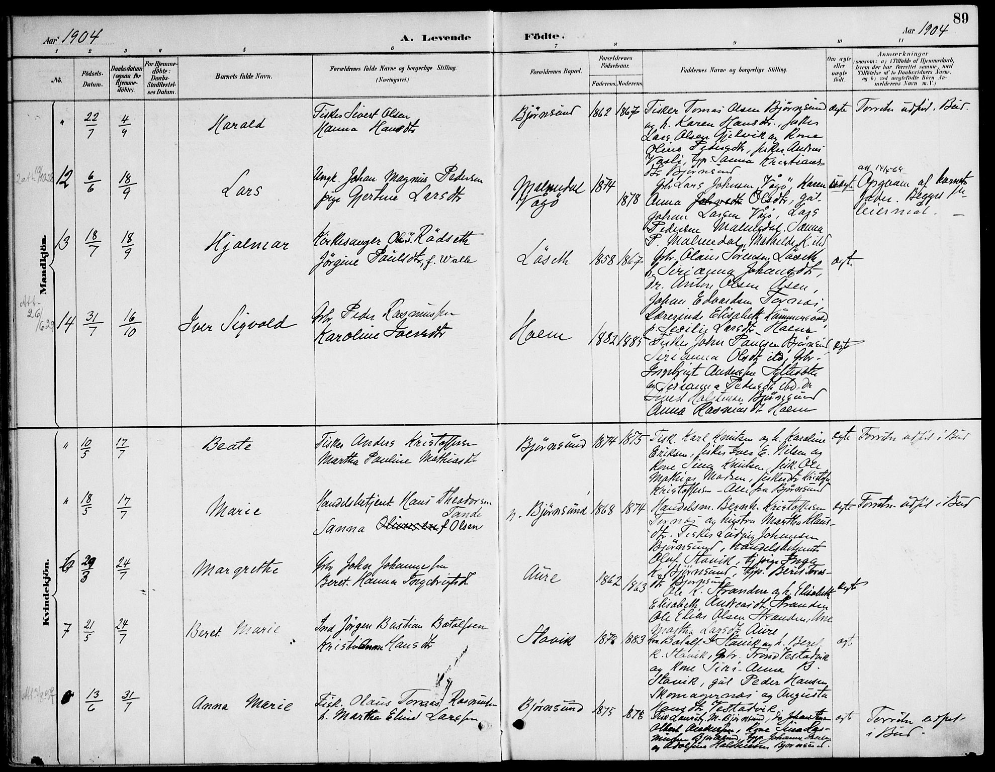 Ministerialprotokoller, klokkerbøker og fødselsregistre - Møre og Romsdal, AV/SAT-A-1454/565/L0750: Ministerialbok nr. 565A04, 1887-1905, s. 89