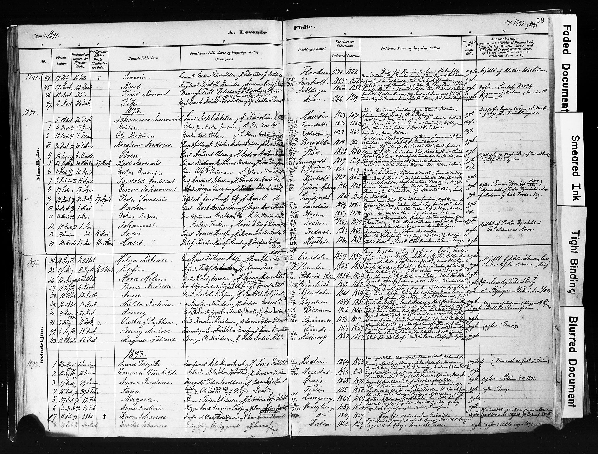 Eidanger kirkebøker, AV/SAKO-A-261/F/Fa/L0012: Ministerialbok nr. 12, 1879-1900, s. 58