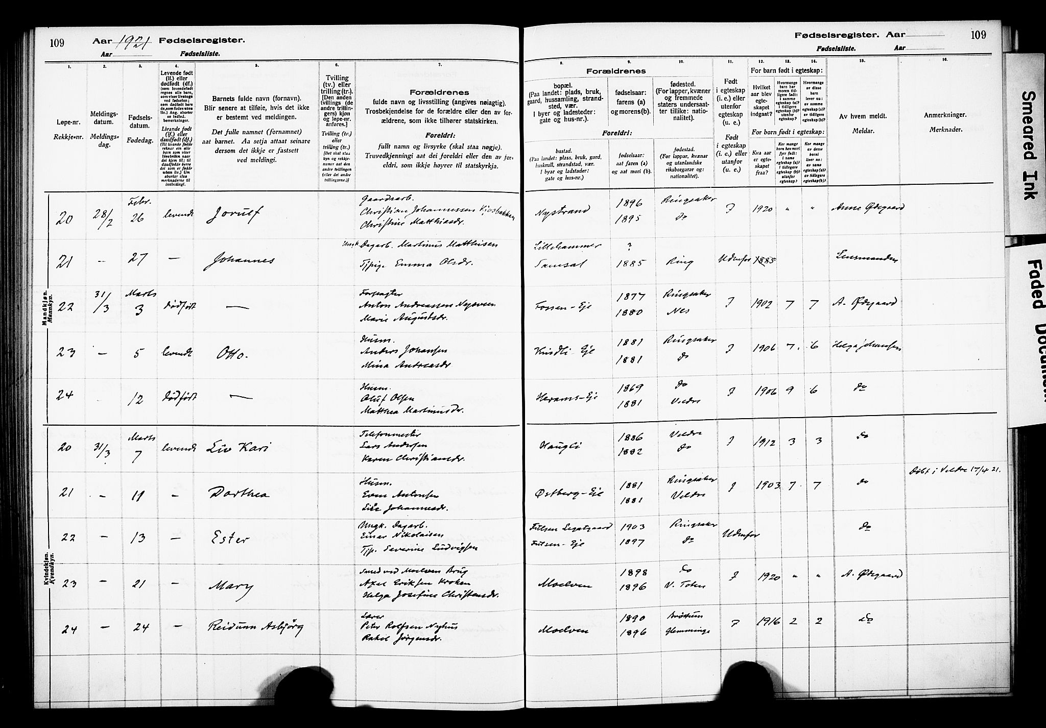 Ringsaker prestekontor, AV/SAH-PREST-014/O/Oa/L0001: Fødselsregister nr. 1, 1916-1925, s. 109