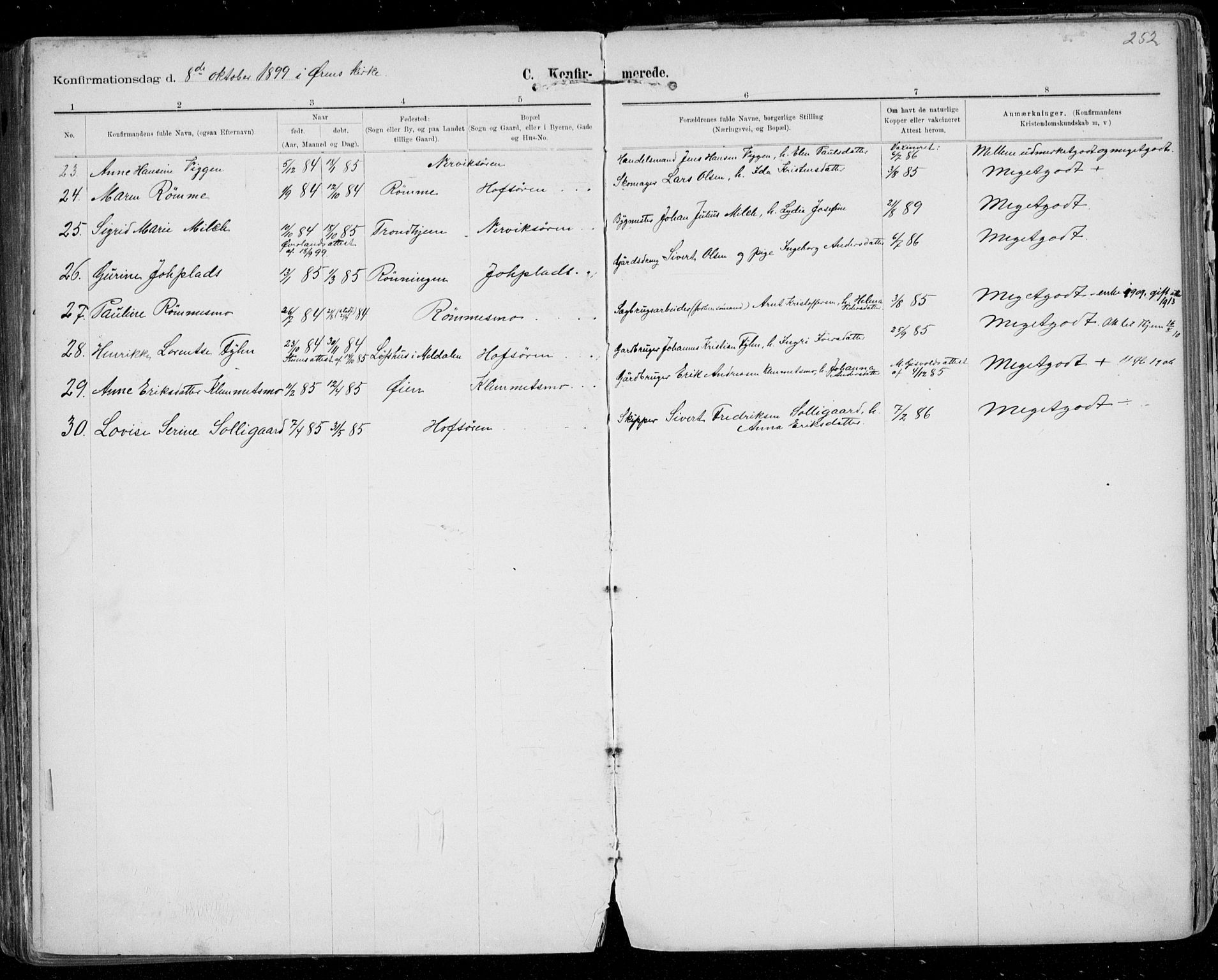 Ministerialprotokoller, klokkerbøker og fødselsregistre - Sør-Trøndelag, SAT/A-1456/668/L0811: Ministerialbok nr. 668A11, 1894-1913, s. 252