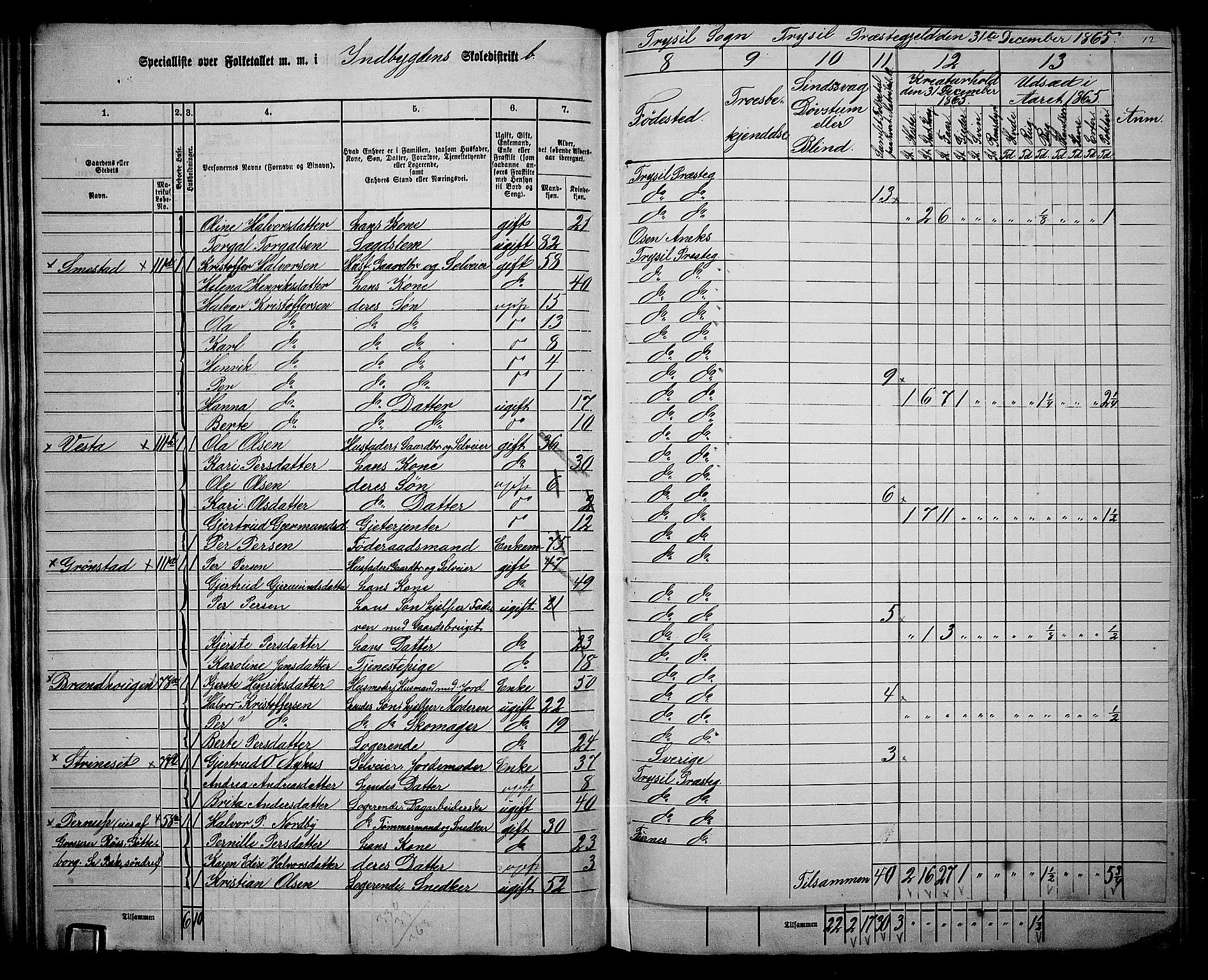 RA, Folketelling 1865 for 0428P Trysil prestegjeld, 1865, s. 41