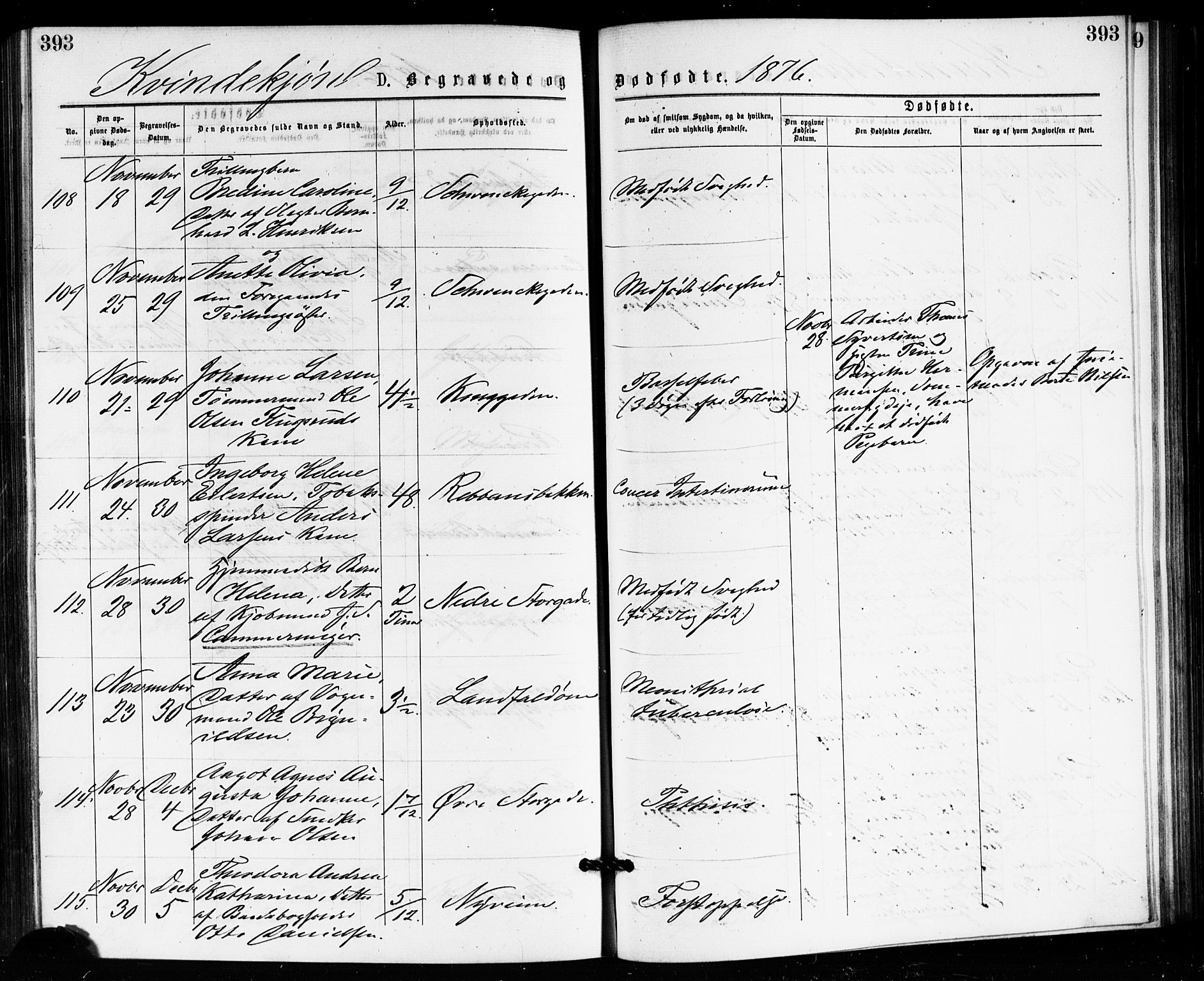 Bragernes kirkebøker, AV/SAKO-A-6/F/Fb/L0005: Ministerialbok nr. II 5, 1875-1877, s. 393
