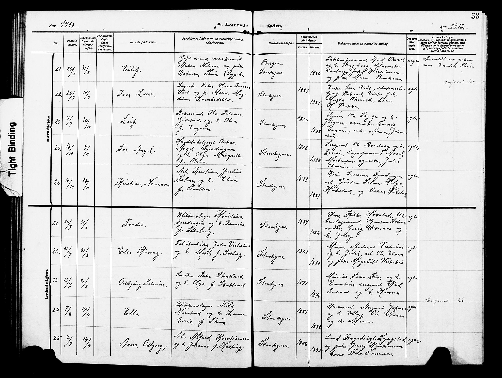 Ministerialprotokoller, klokkerbøker og fødselsregistre - Nord-Trøndelag, AV/SAT-A-1458/739/L0376: Klokkerbok nr. 739C04, 1908-1917, s. 53