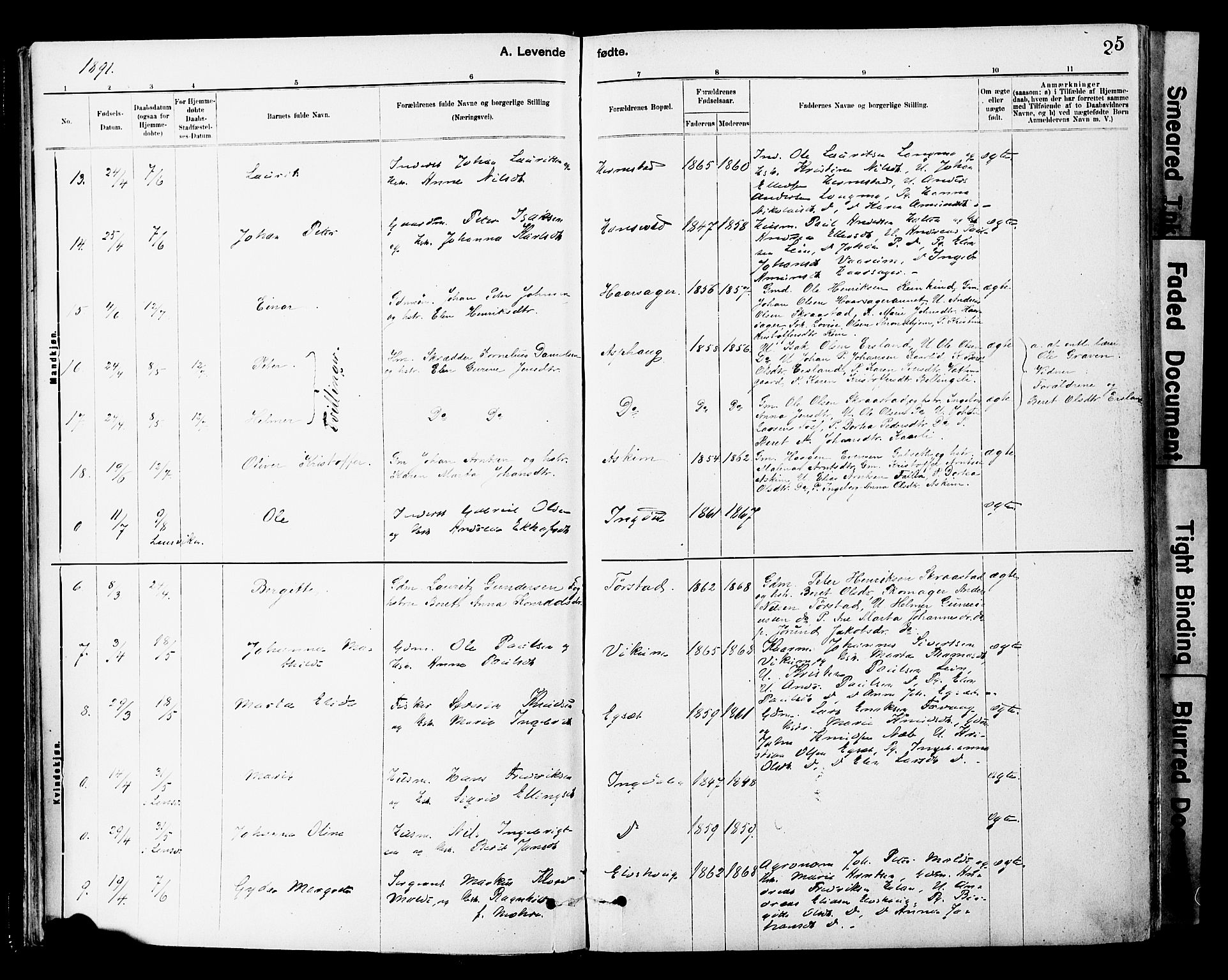 Ministerialprotokoller, klokkerbøker og fødselsregistre - Sør-Trøndelag, AV/SAT-A-1456/646/L0615: Ministerialbok nr. 646A13, 1885-1900, s. 25