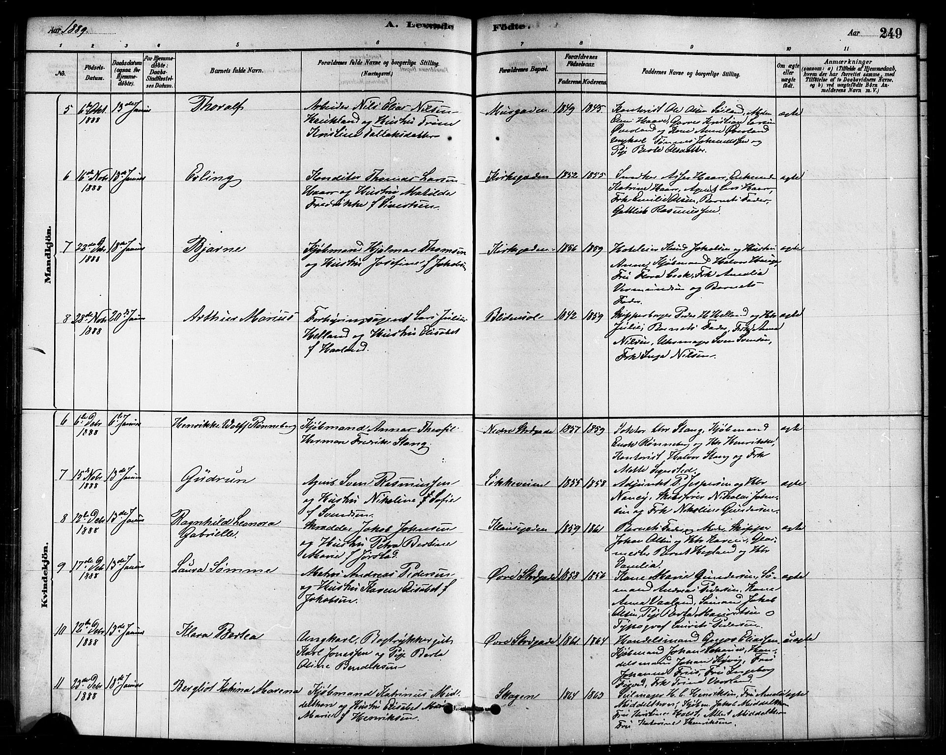 Domkirken sokneprestkontor, AV/SAST-A-101812/001/30/30BB/L0015: Klokkerbok nr. B 15, 1880-1891, s. 249