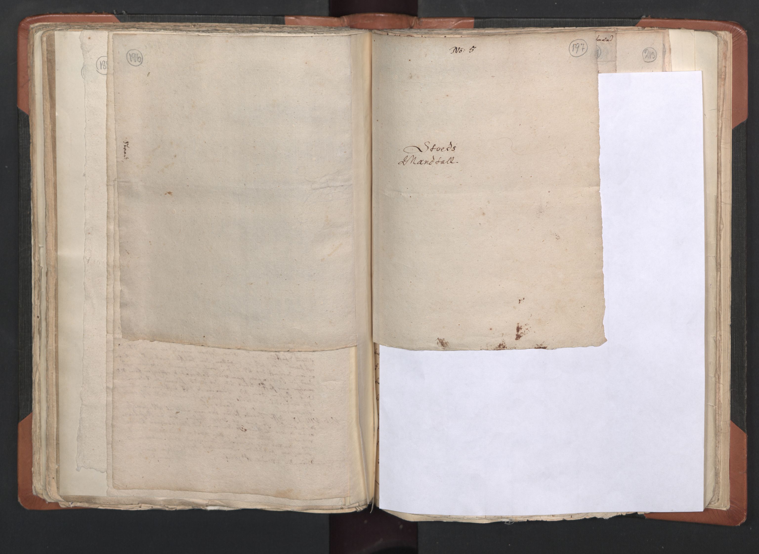 RA, Sogneprestenes manntall 1664-1666, nr. 33: Innherad prosti, 1664-1666, s. 196-197
