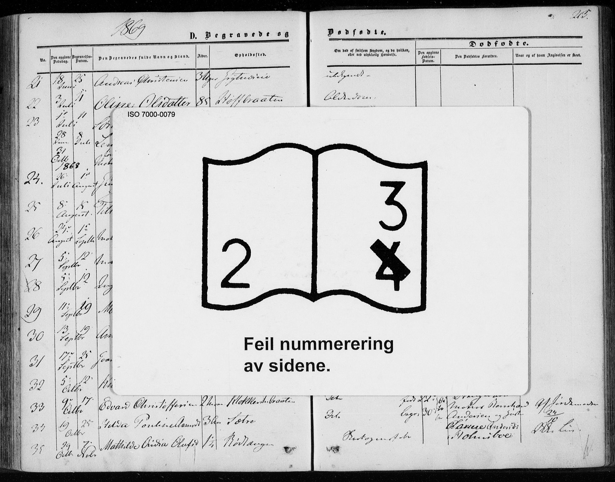 Hurum kirkebøker, AV/SAKO-A-229/F/Fa/L0012: Ministerialbok nr. 12, 1861-1875, s. 215