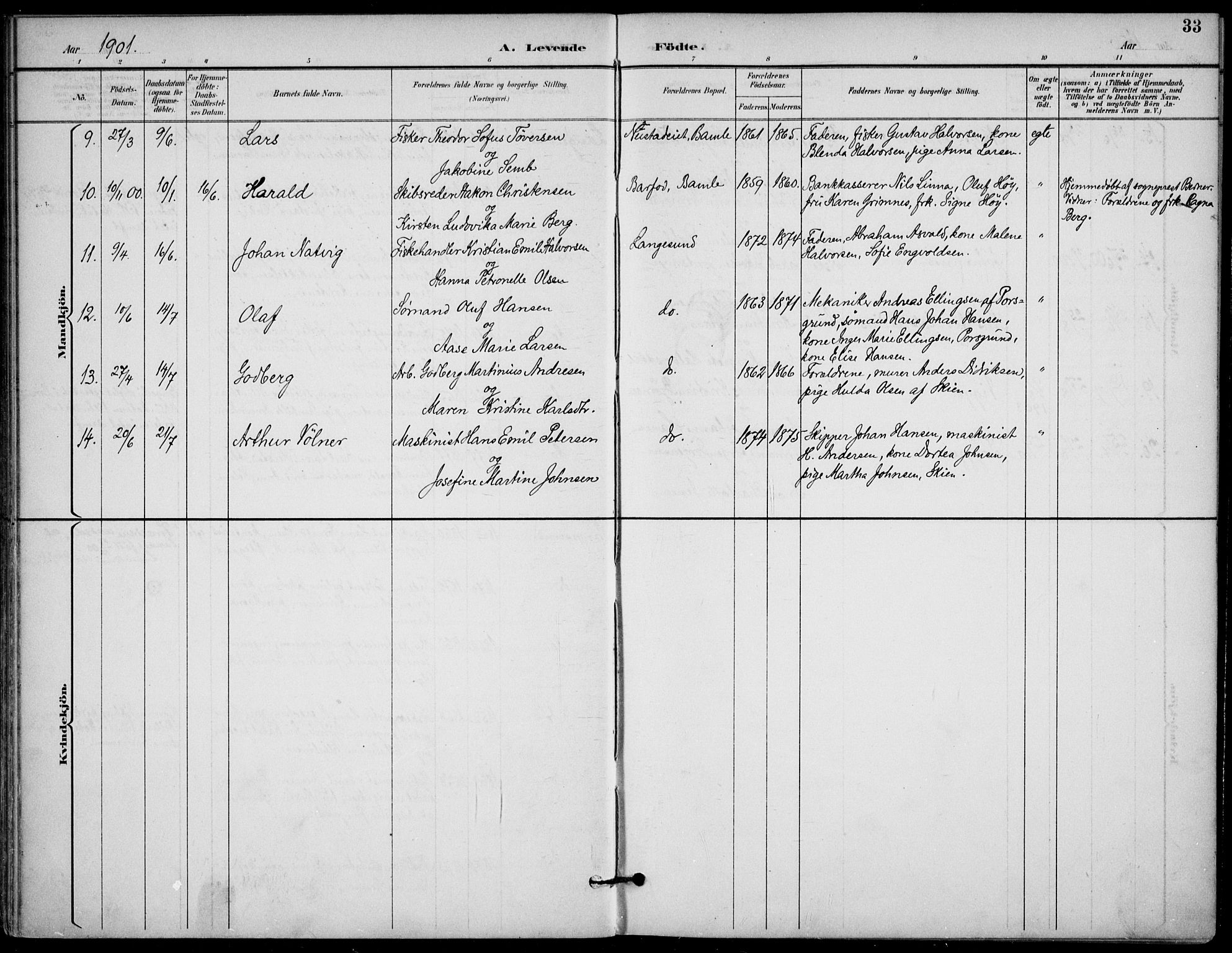Langesund kirkebøker, AV/SAKO-A-280/F/Fa/L0003: Ministerialbok nr. 3, 1893-1907, s. 33