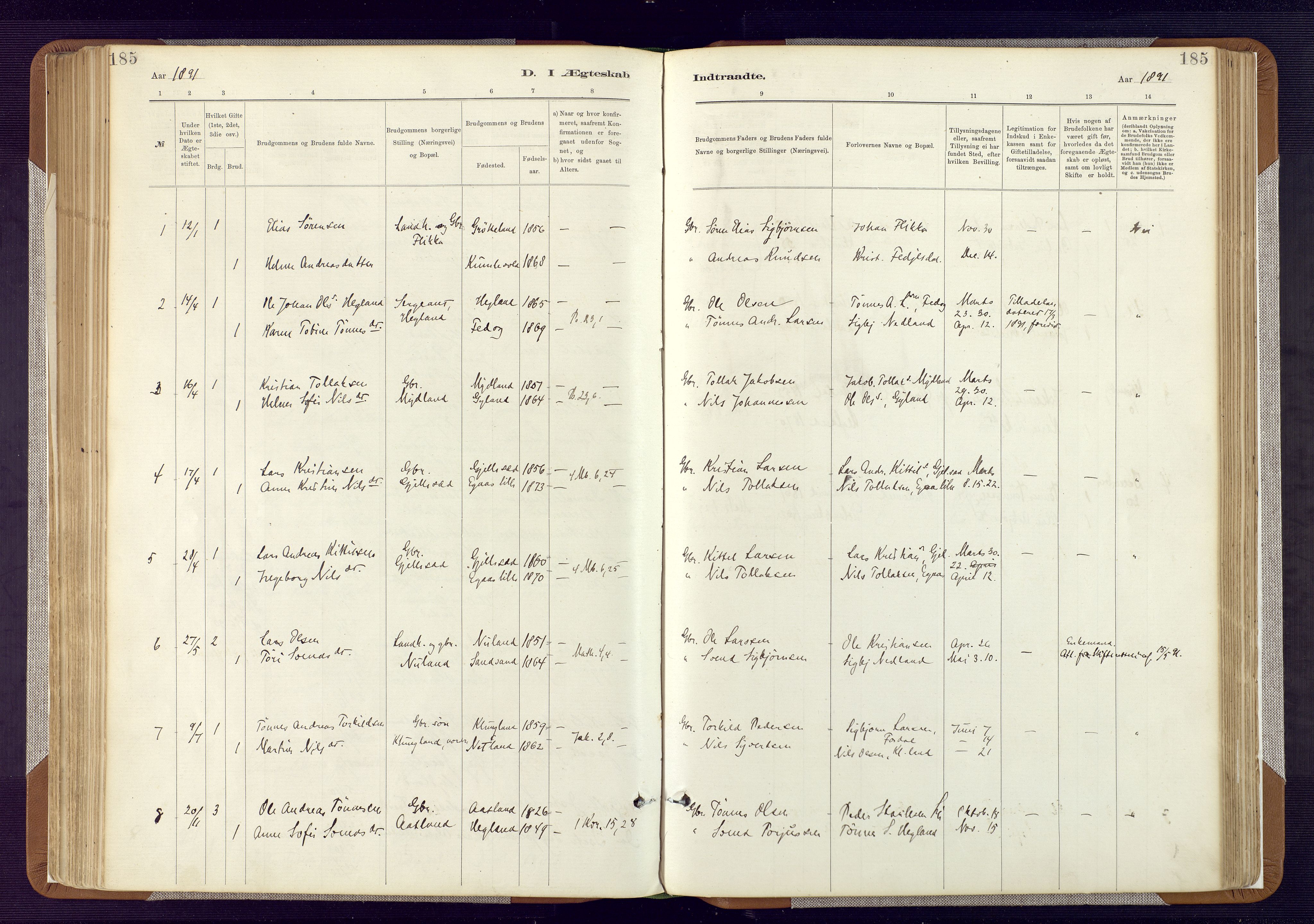 Bakke sokneprestkontor, SAK/1111-0002/F/Fa/Fab/L0003: Ministerialbok nr. A 3, 1884-1921, s. 185