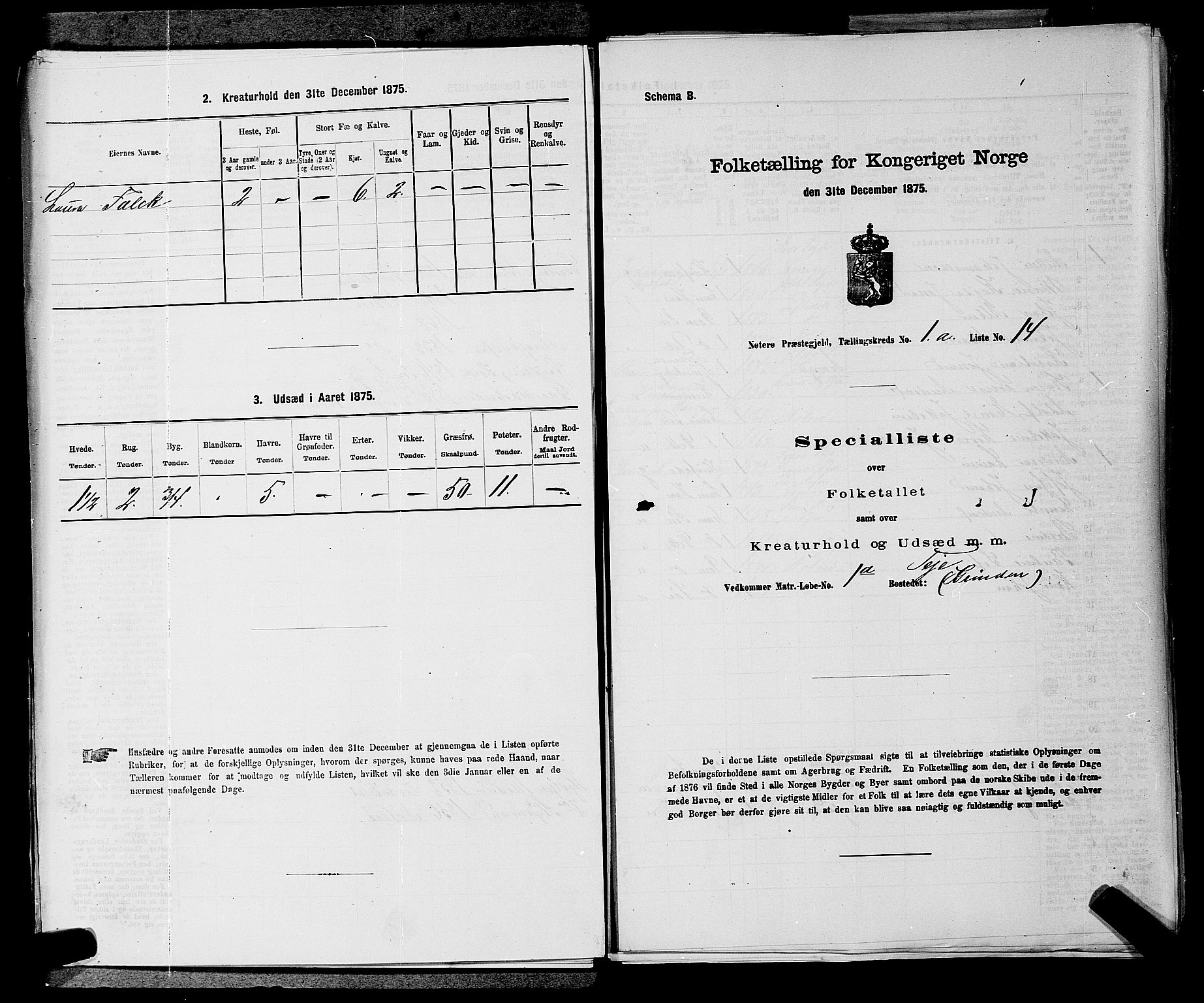 SAKO, Folketelling 1875 for 0722P Nøtterøy prestegjeld, 1875, s. 129