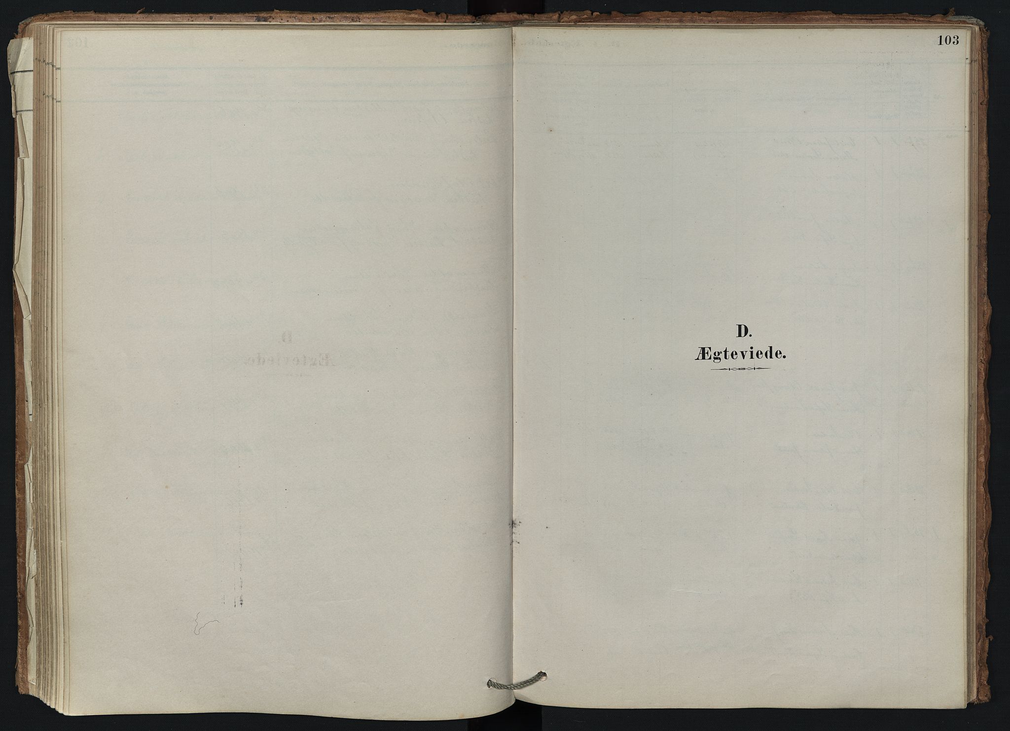 Brunlanes kirkebøker, AV/SAKO-A-342/F/Fd/L0001: Ministerialbok nr. IV 1, 1878-1917, s. 103