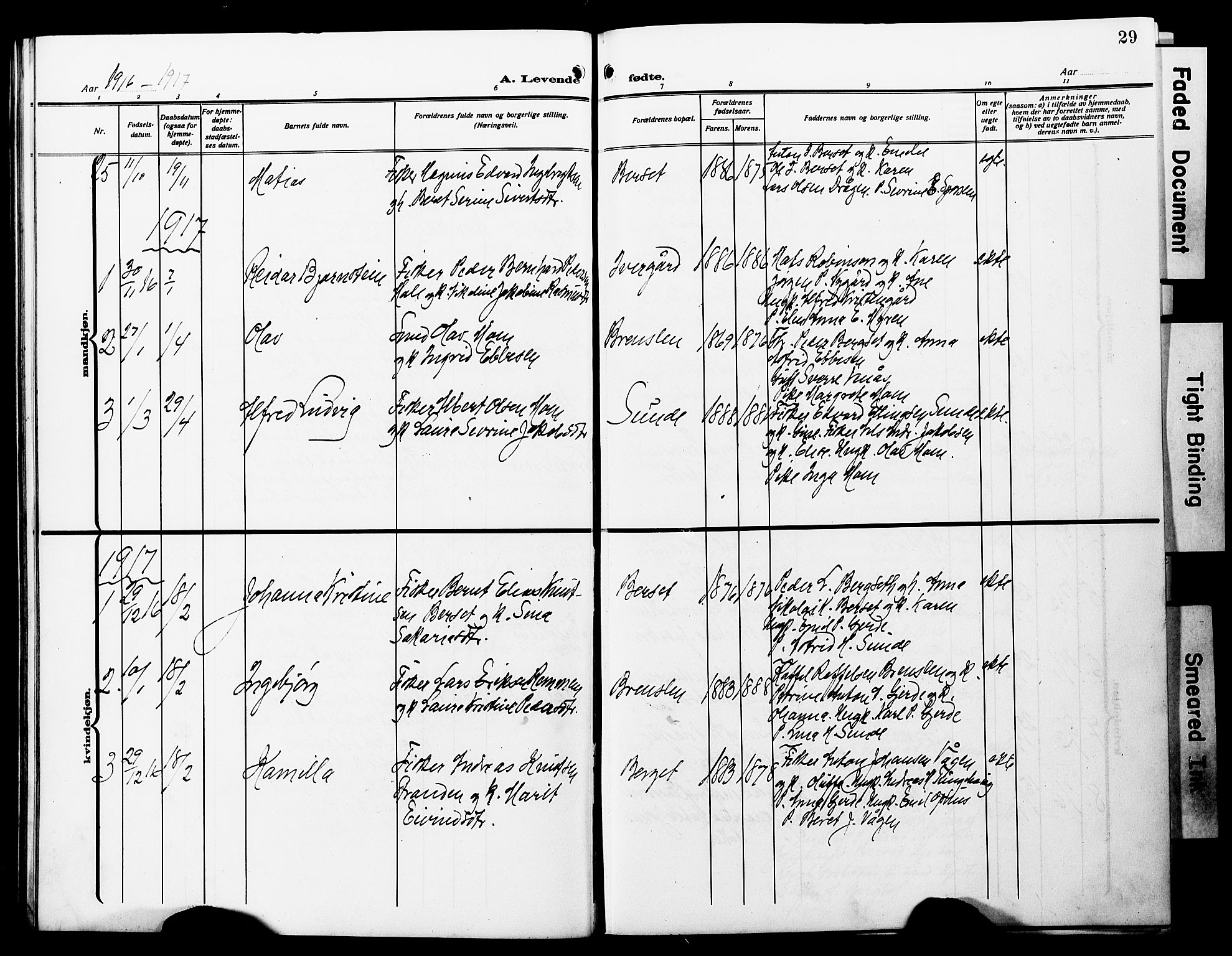 Ministerialprotokoller, klokkerbøker og fødselsregistre - Møre og Romsdal, AV/SAT-A-1454/566/L0774: Klokkerbok nr. 566C03, 1910-1929, s. 29