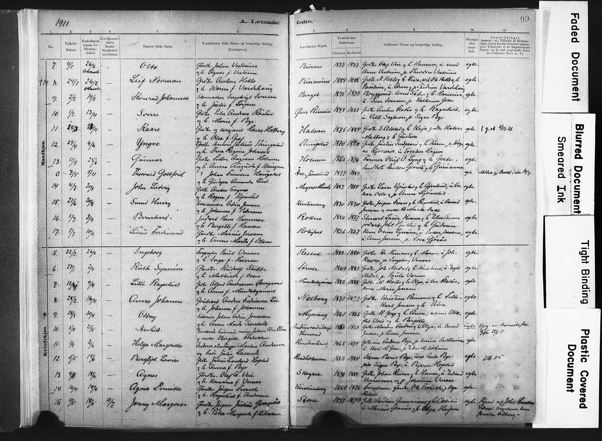 Ministerialprotokoller, klokkerbøker og fødselsregistre - Nord-Trøndelag, AV/SAT-A-1458/721/L0207: Ministerialbok nr. 721A02, 1880-1911, s. 99