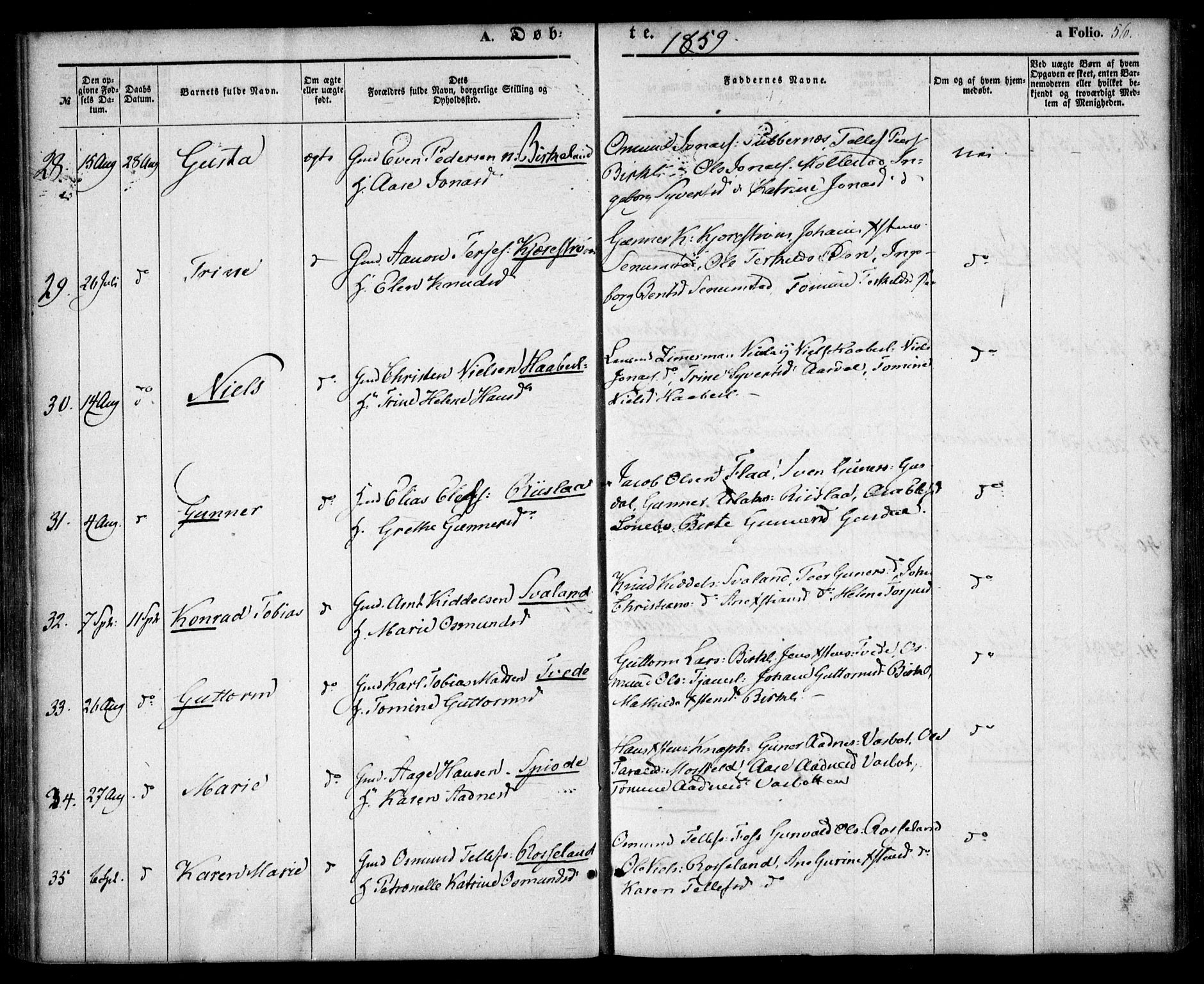Birkenes sokneprestkontor, AV/SAK-1111-0004/F/Fa/L0003: Ministerialbok nr. A 3, 1850-1866, s. 56