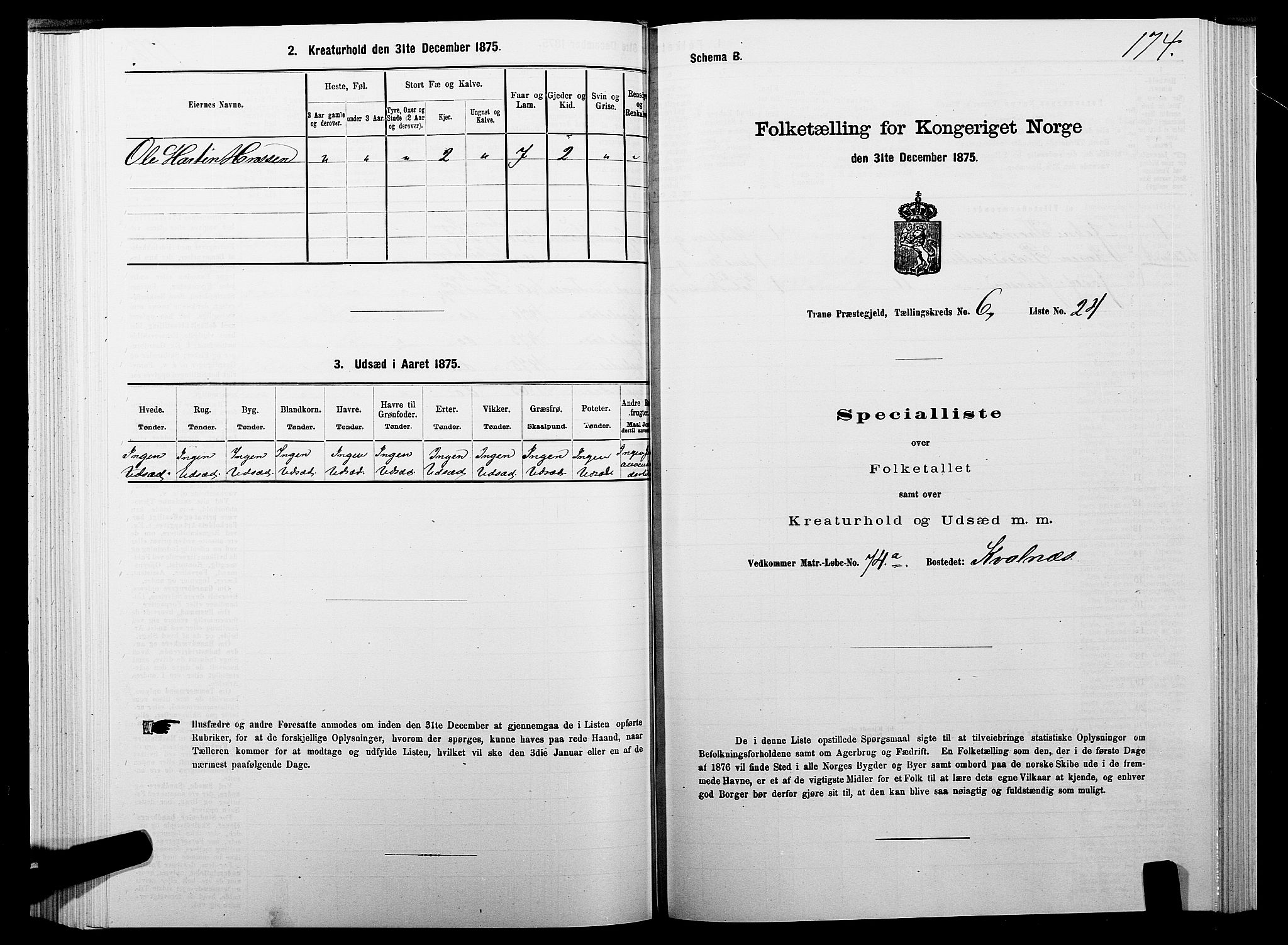 SATØ, Folketelling 1875 for 1927P Tranøy prestegjeld, 1875, s. 3174