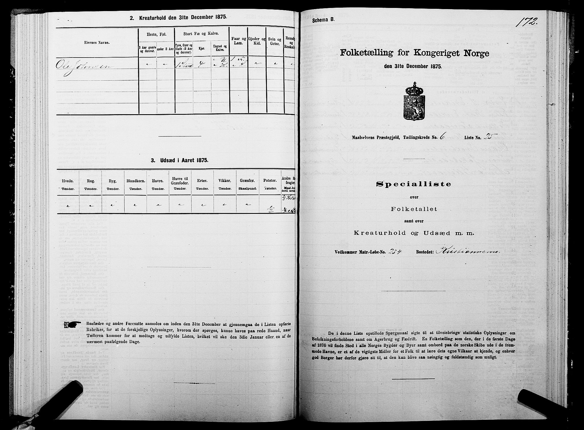 SATØ, Folketelling 1875 for 1924P Målselv prestegjeld, 1875, s. 3172