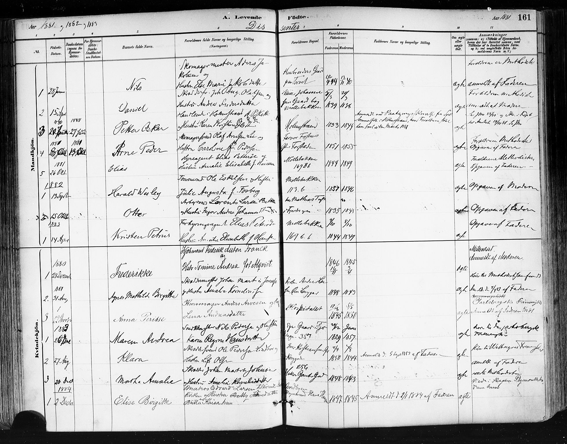 Tønsberg kirkebøker, AV/SAKO-A-330/F/Fa/L0011: Ministerialbok nr. I 11, 1881-1890, s. 161