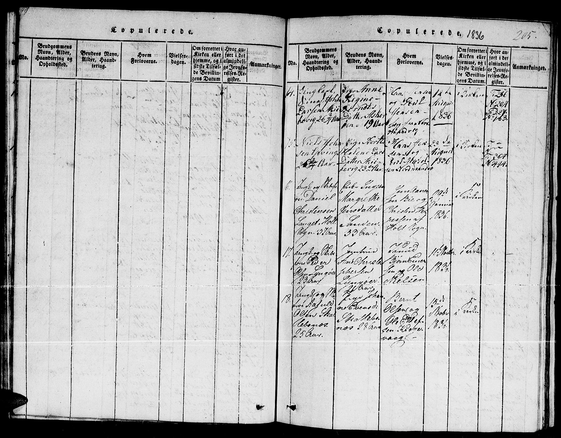 Dypvåg sokneprestkontor, SAK/1111-0007/F/Fb/Fba/L0009: Klokkerbok nr. B 9, 1816-1842, s. 205