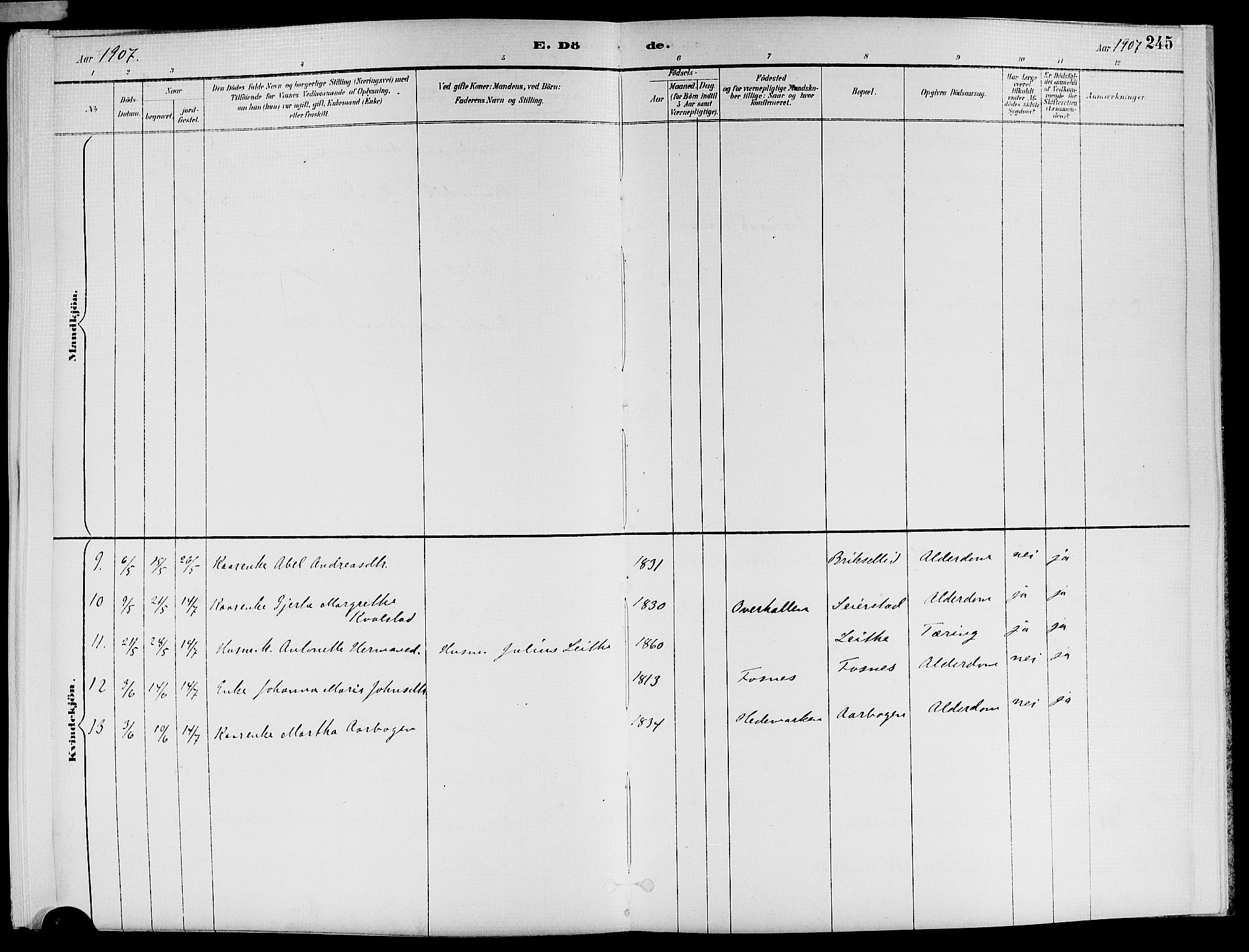 Ministerialprotokoller, klokkerbøker og fødselsregistre - Nord-Trøndelag, AV/SAT-A-1458/773/L0617: Ministerialbok nr. 773A08, 1887-1910, s. 245