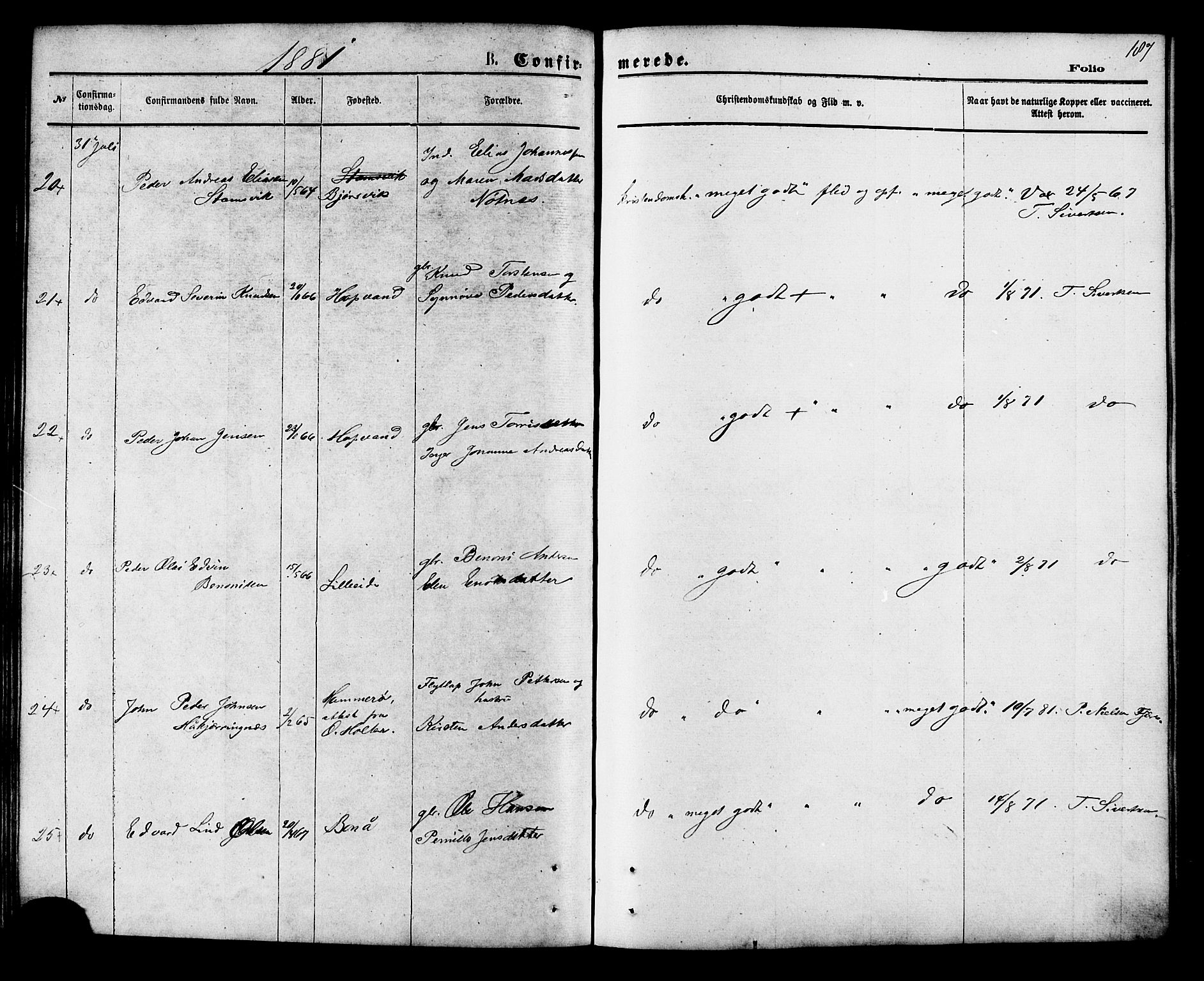 Ministerialprotokoller, klokkerbøker og fødselsregistre - Nordland, AV/SAT-A-1459/853/L0771: Ministerialbok nr. 853A10, 1870-1881, s. 187