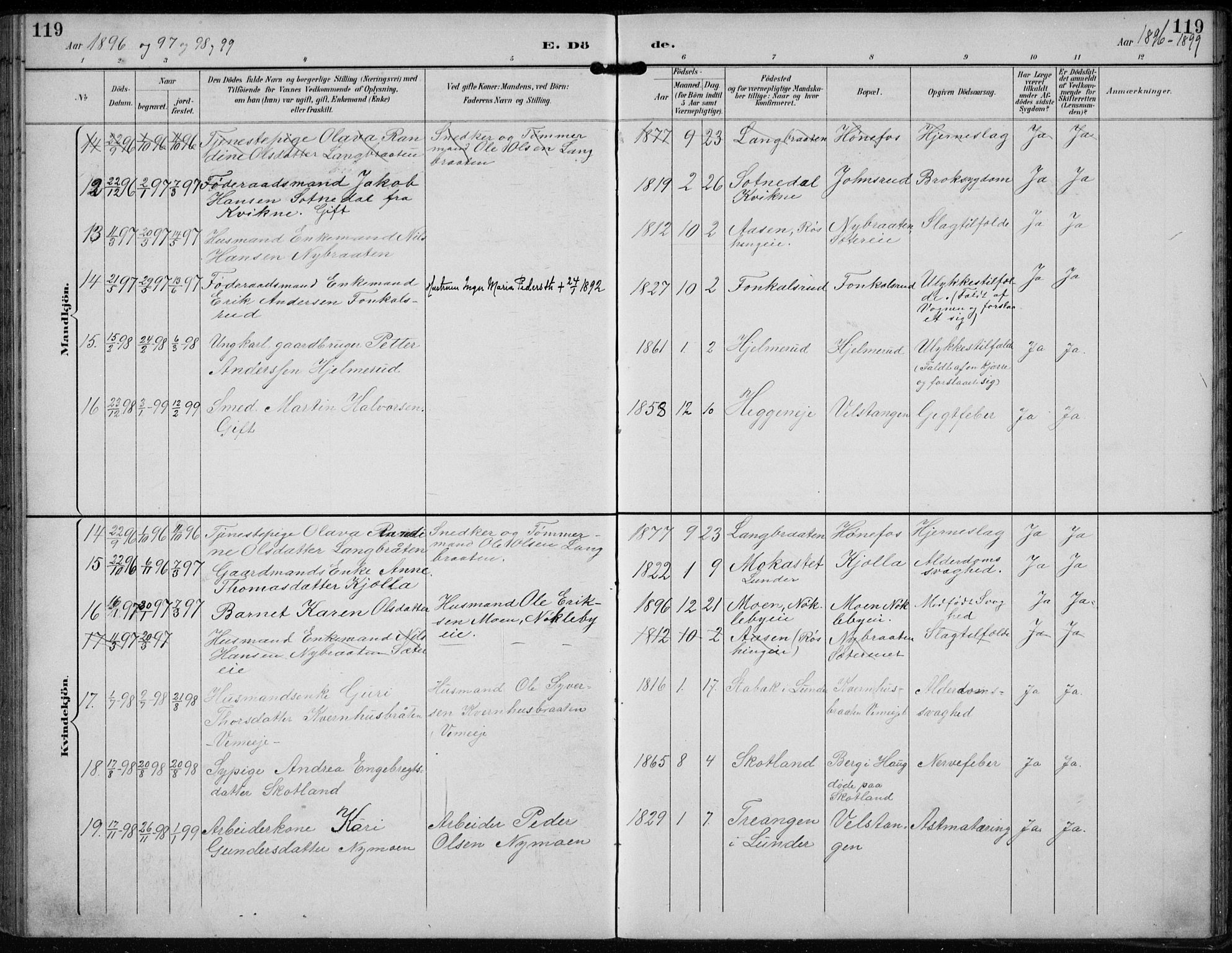 Lunder kirkebøker, AV/SAKO-A-629/F/Fb/L0001: Ministerialbok nr. II 1, 1893-1916, s. 119