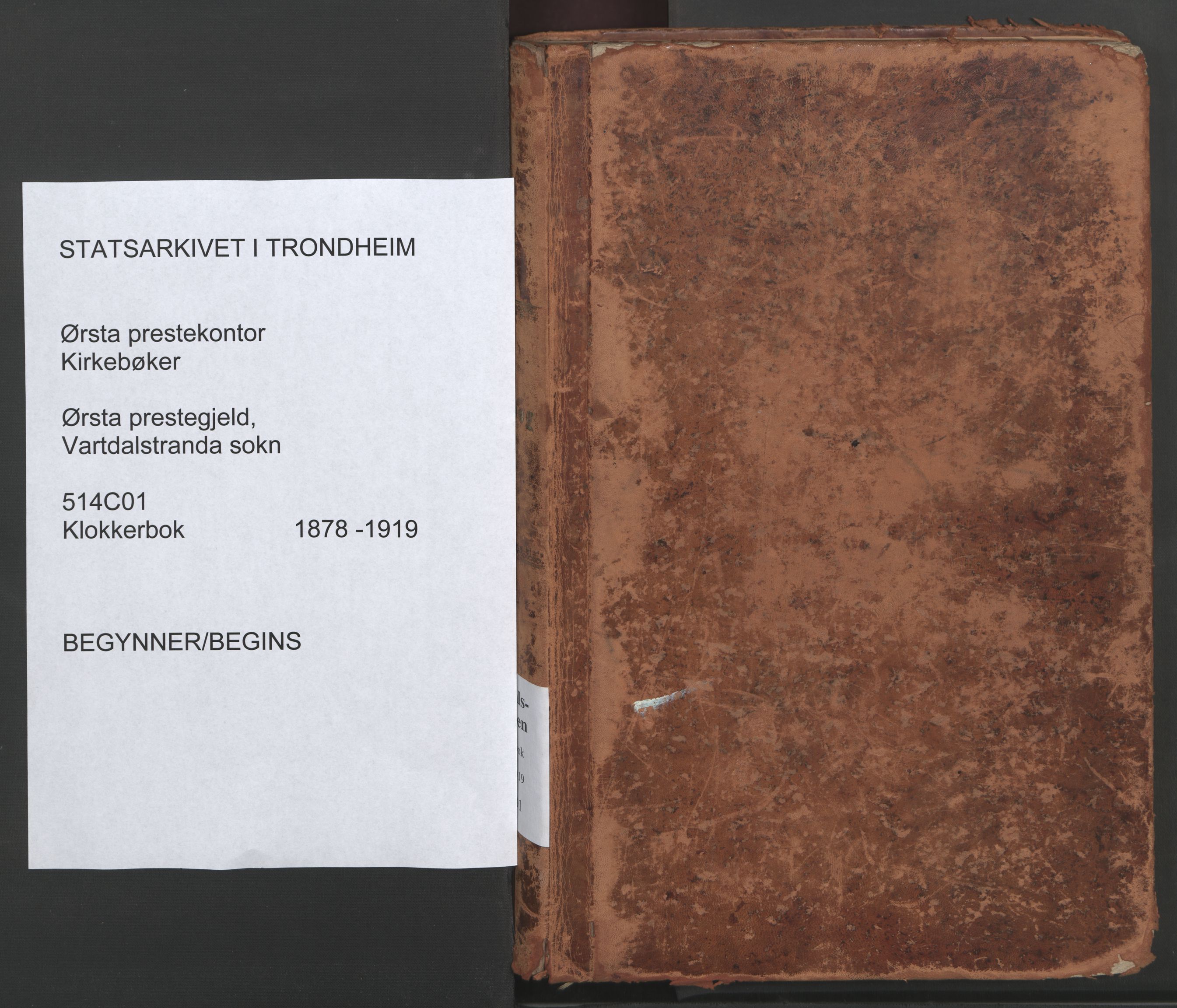 Ministerialprotokoller, klokkerbøker og fødselsregistre - Møre og Romsdal, SAT/A-1454/514/L0201: Klokkerbok nr. 514C01, 1878-1919