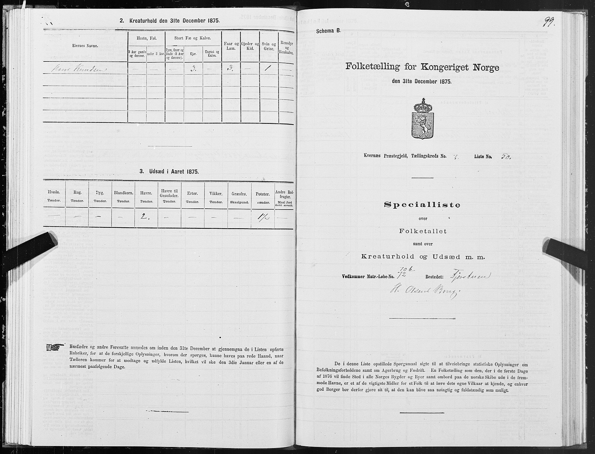 SAT, Folketelling 1875 for 1553P Kvernes prestegjeld, 1875, s. 4099