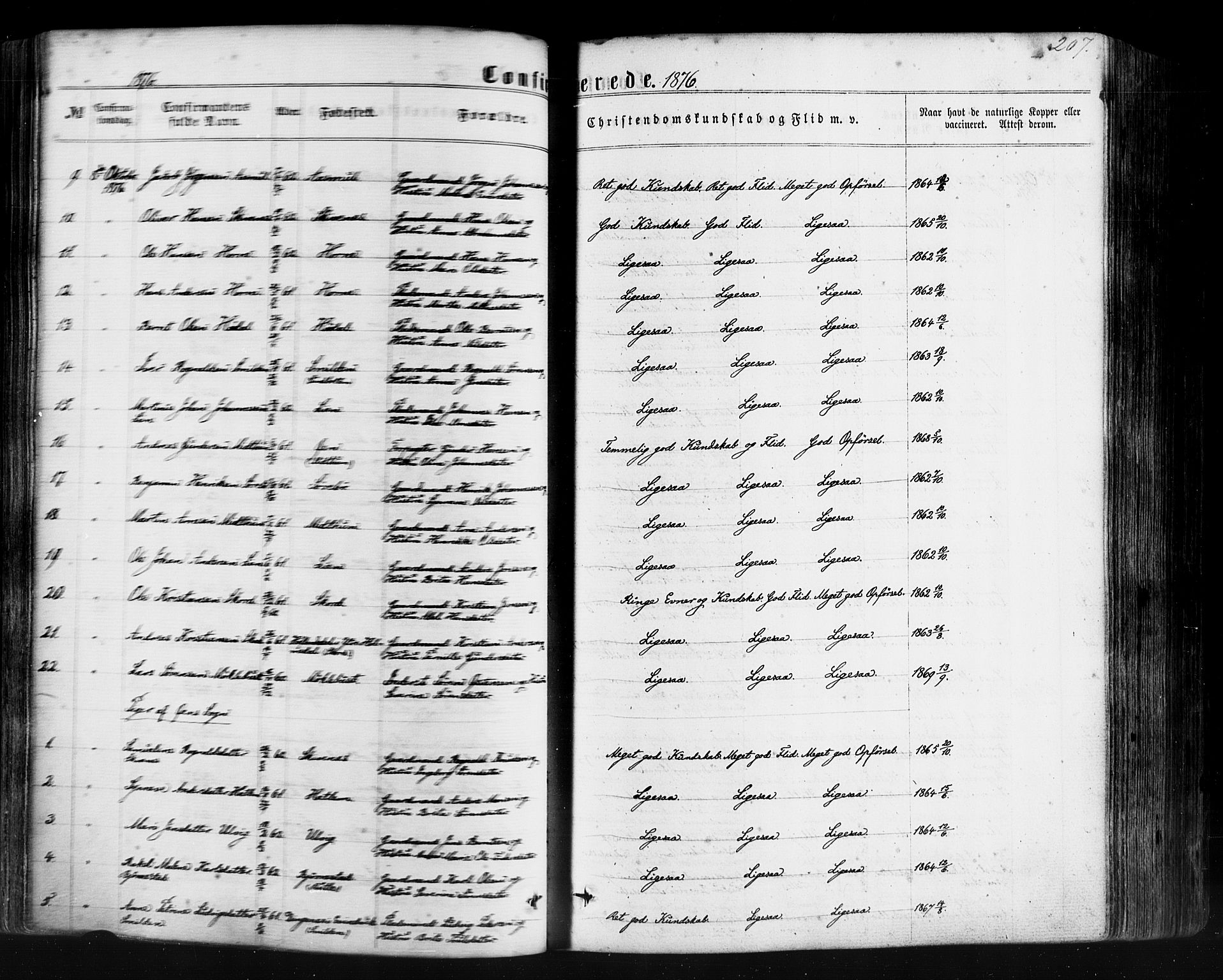Hyllestad sokneprestembete, AV/SAB-A-80401: Ministerialbok nr. A 1, 1861-1886, s. 207
