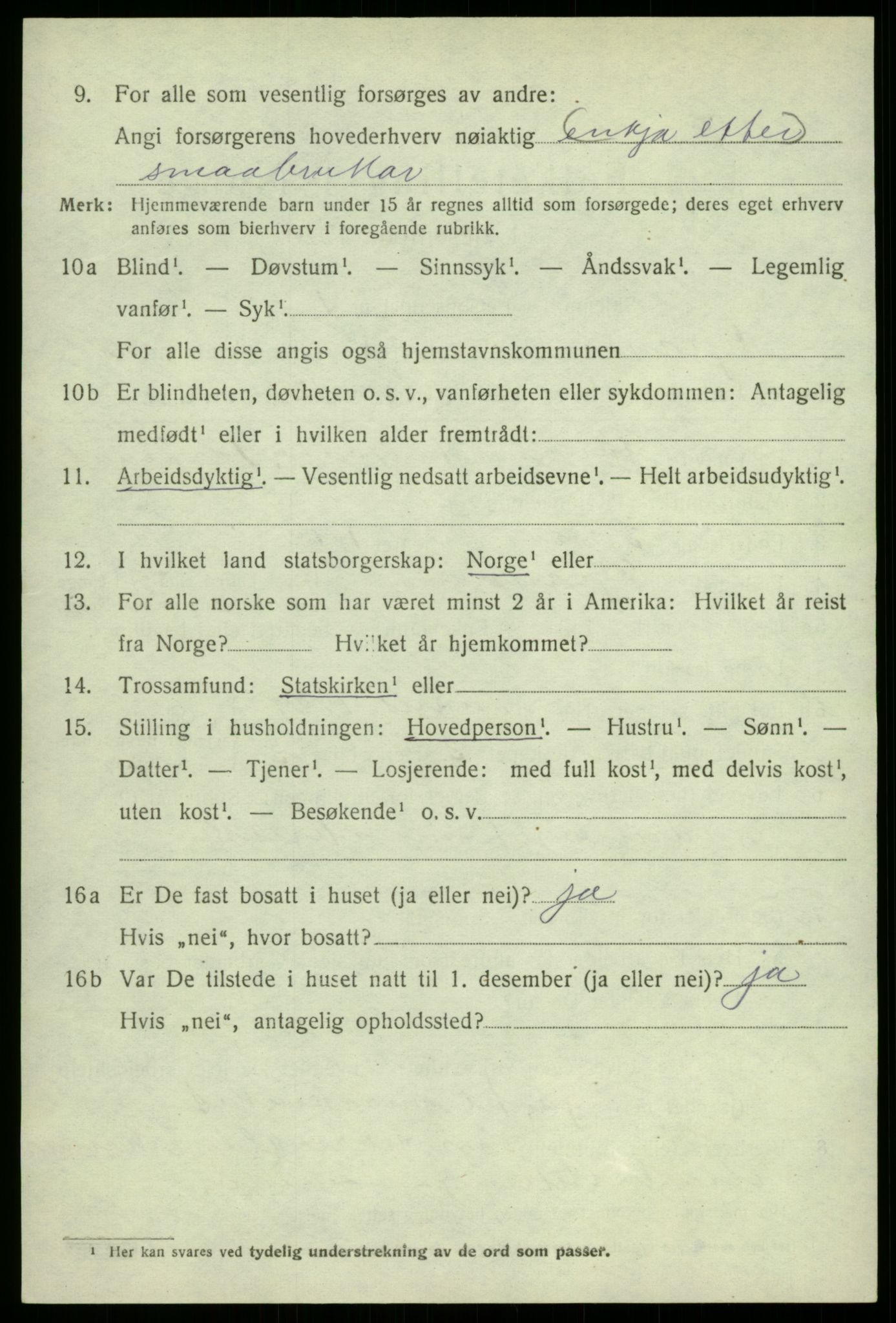 SAB, Folketelling 1920 for 1234 Granvin herred, 1920, s. 2527