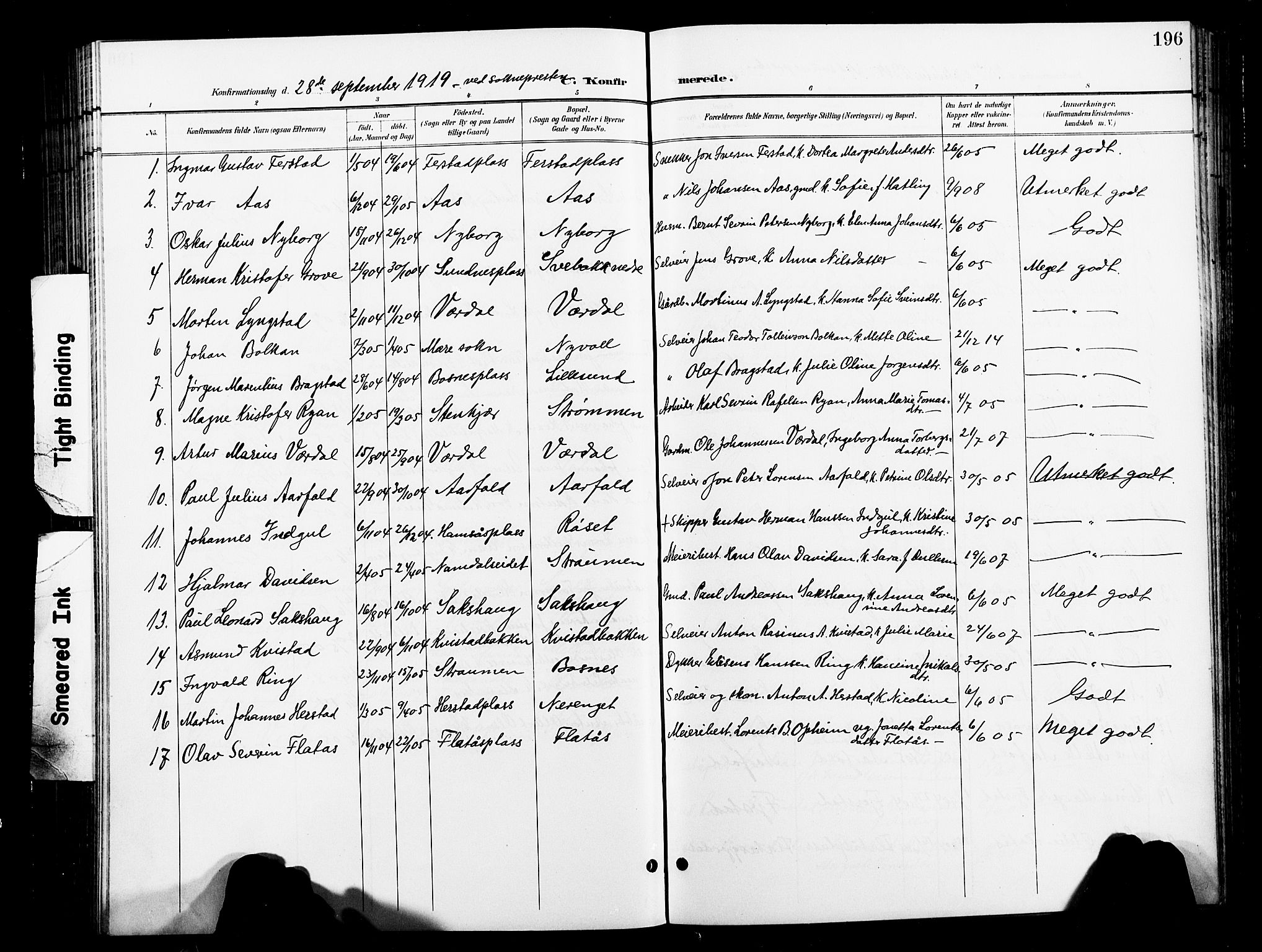 Ministerialprotokoller, klokkerbøker og fødselsregistre - Nord-Trøndelag, SAT/A-1458/730/L0302: Klokkerbok nr. 730C05, 1898-1924, s. 196