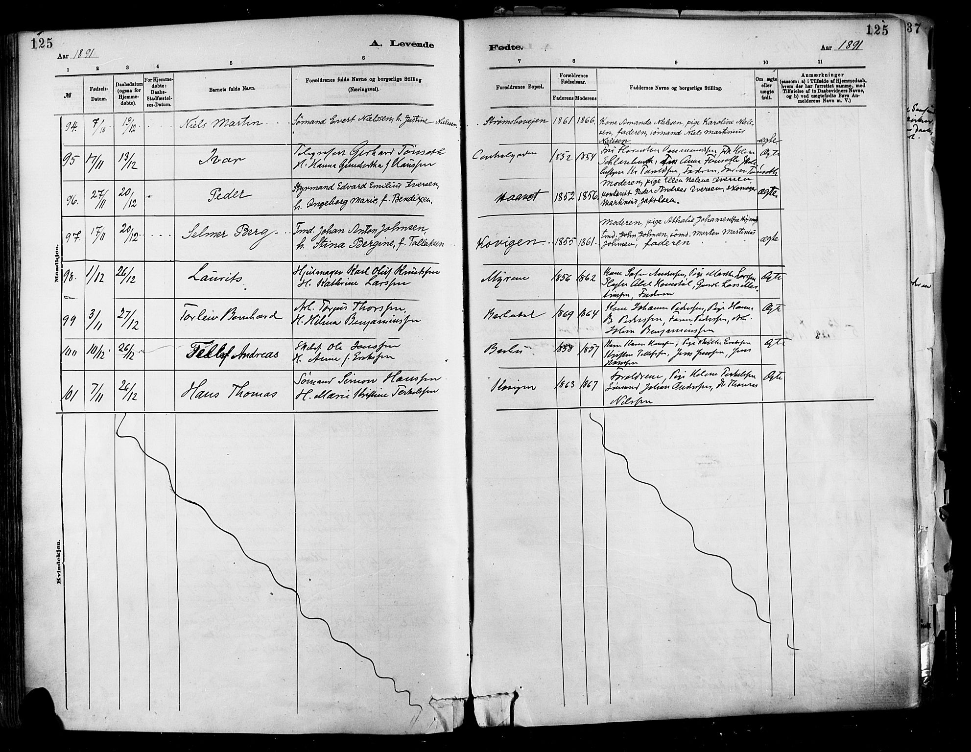 Barbu sokneprestkontor, AV/SAK-1111-0003/F/Fa/L0002: Ministerialbok nr. A 2, 1883-1898, s. 125